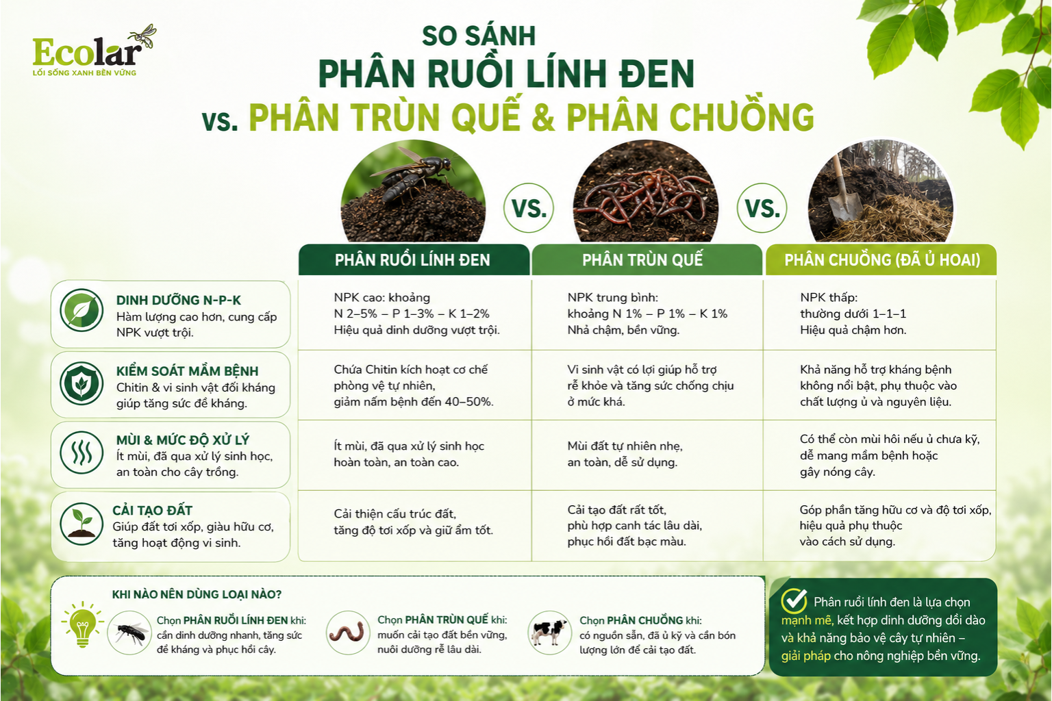 So Sánh Phân Ruồi Lính Đen Với Phân Trùn Quế và Phân Chuồng
