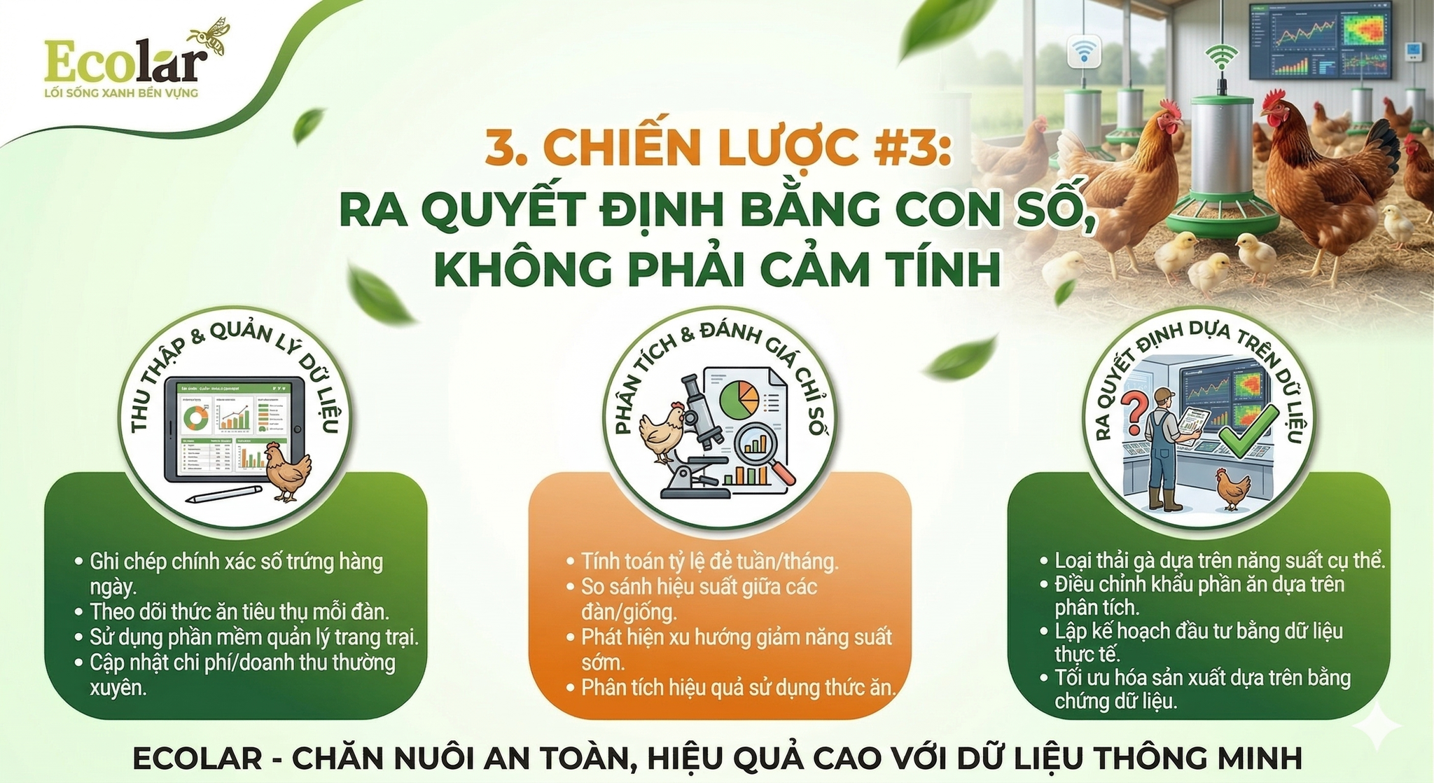 Ra Quyết Định Bằng Con Số, Không Phải Cảm Tính