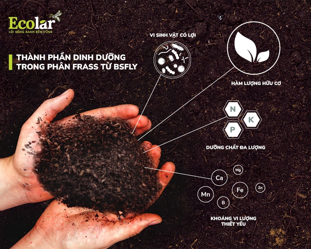 Thành phần dinh dưỡng của phân frass