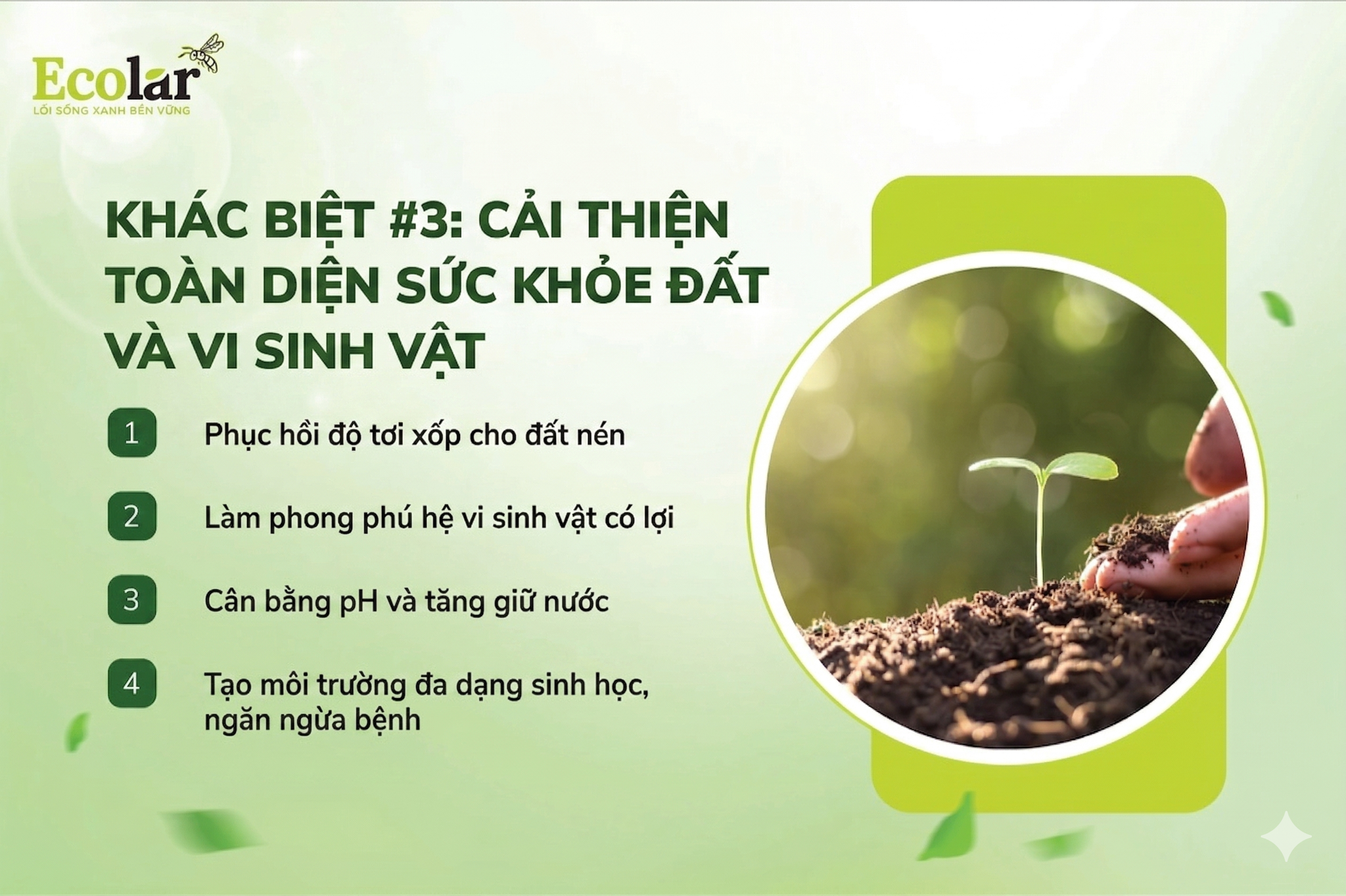 Tác Động Lên Sức Khỏe Đất và Vi Sinh Vật