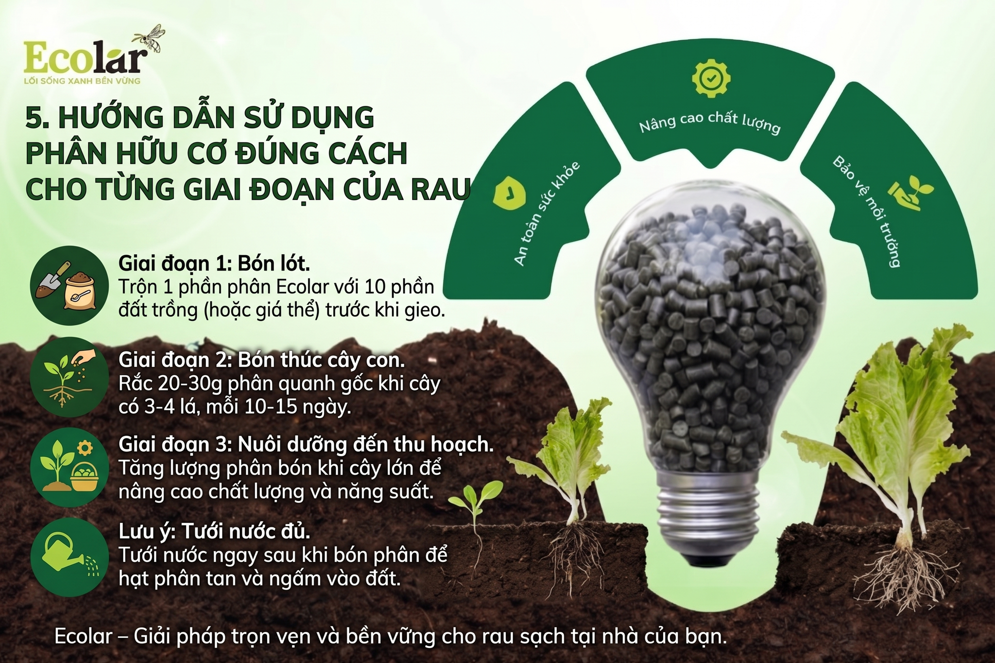 Hướng Dẫn Sử Dụng Phân Hữu Cơ Đúng Cách Cho Từng Giai Đoạn Của Rau