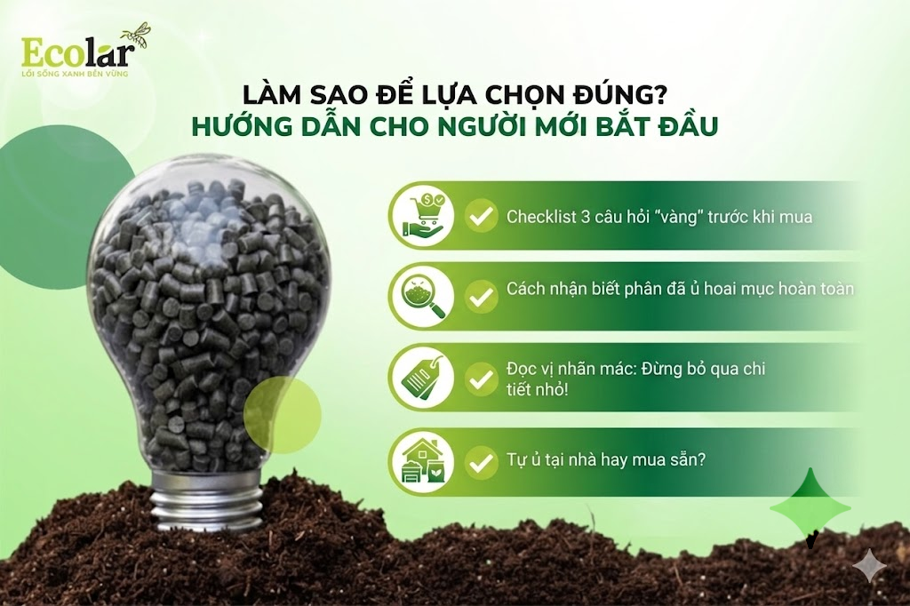 Làm Sao Để Lựa Chọn Đúng? Hướng Dẫn Cho Người Mới Bắt Đầu