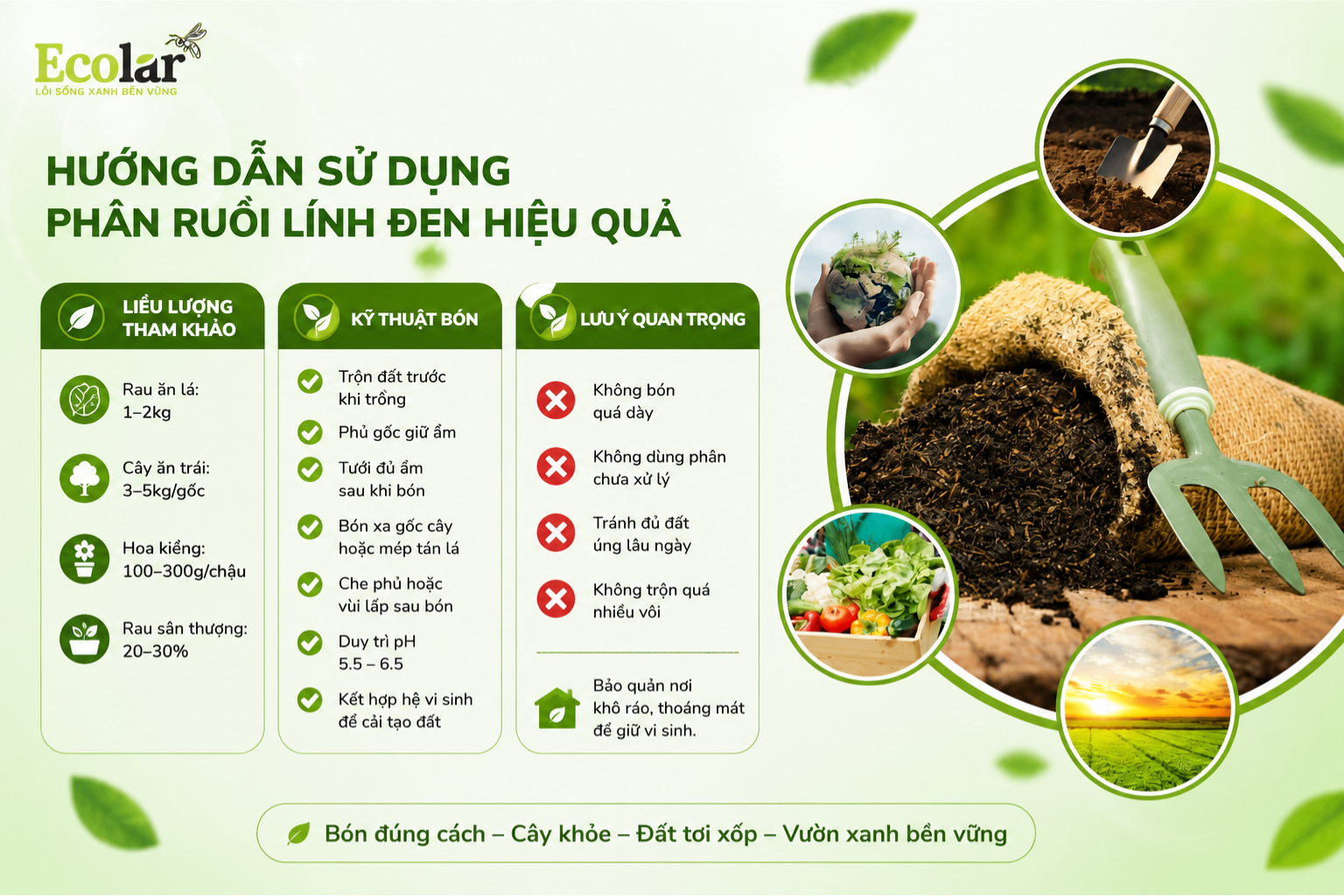 Hướng dẫn sử dụng phân bón ruồi lính đen hiệu quả