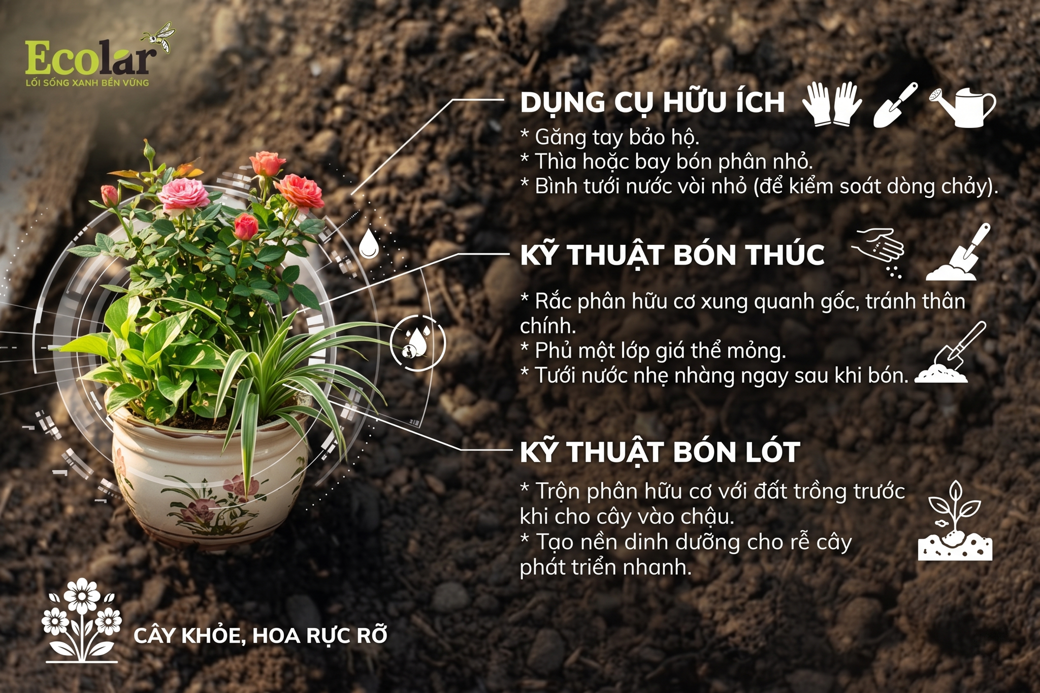 Dụng cụ và kỹ thuật hữu ích khi sử dụng phân hữu cơ cho hoa và cây cảnh