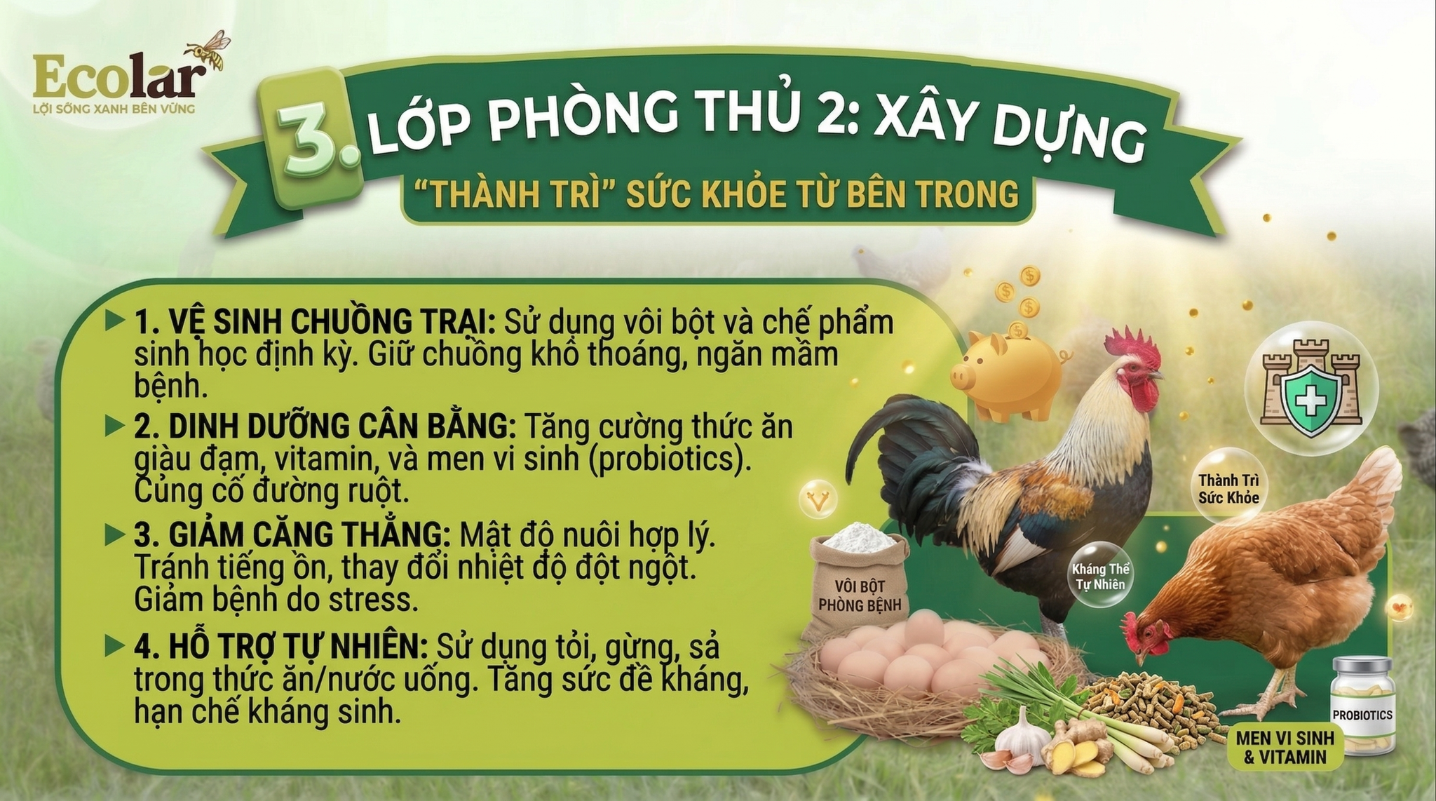 Xây Dựng 