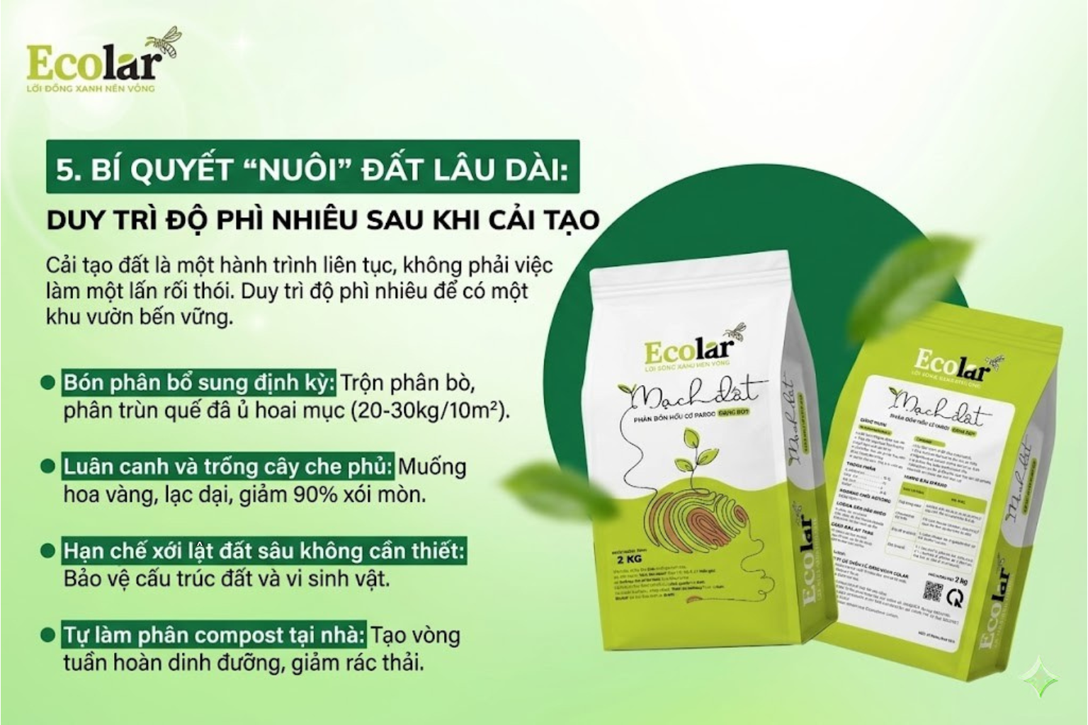 Bí Quyết 'Nuôi' Đất Lâu Dài: Duy Trì Độ Phì Nhiêu Sau Khi Cải Tạo