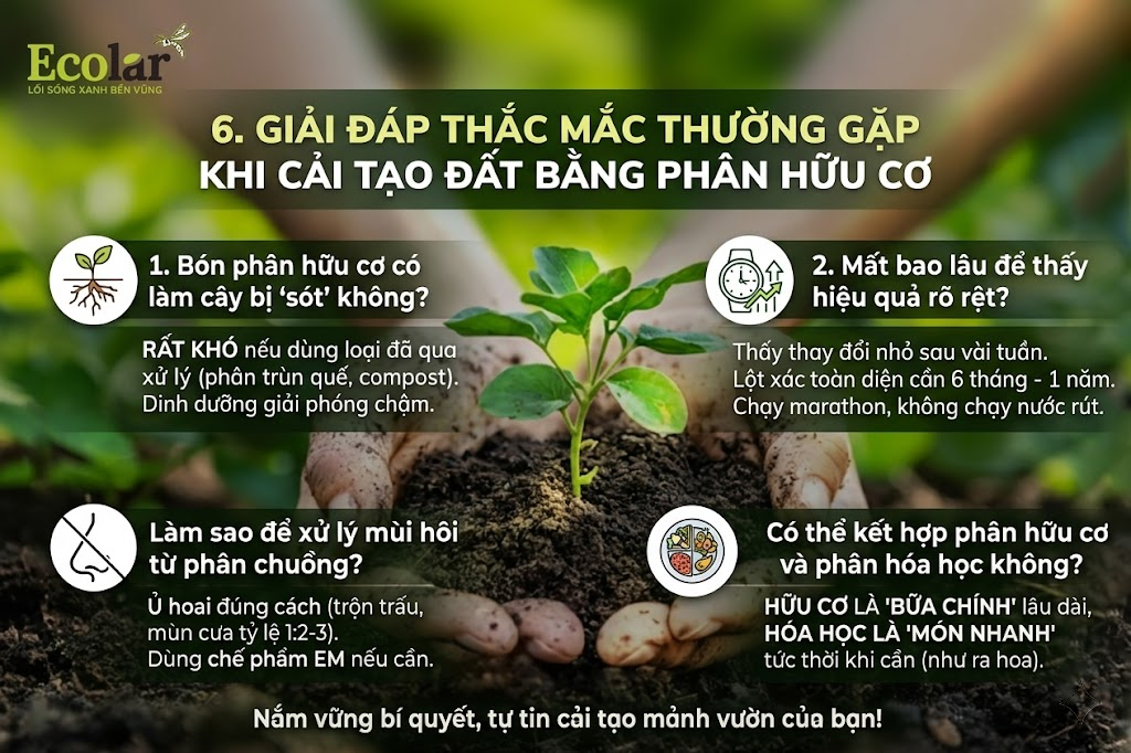 Giải Đáp Thắc Mắc Thường Gặp Khi Cải Tạo Đất Bằng Phân Hữu Cơ