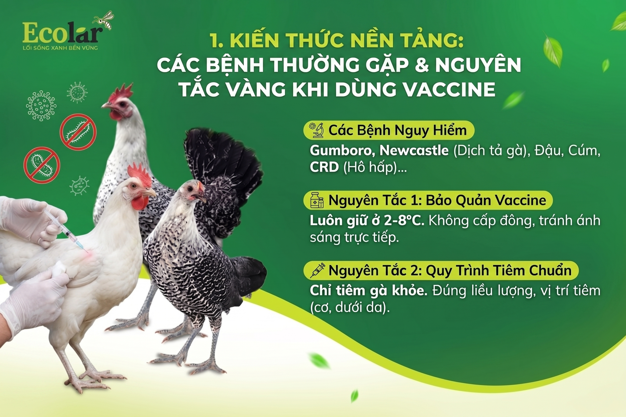 Các Bệnh Thường Gặp & Nguyên Tắc Vàng Khi Dùng Vaccine
