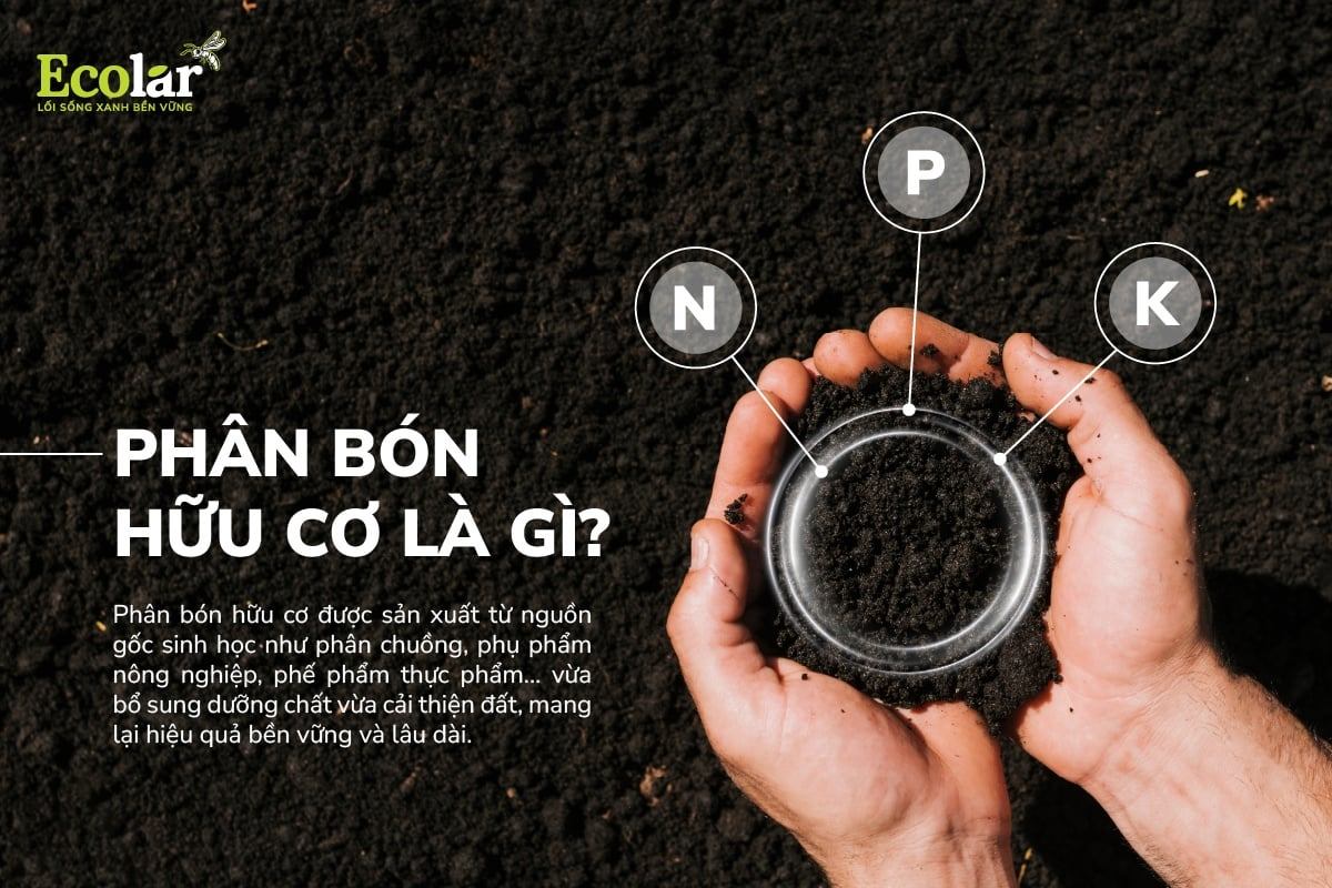 Ecolar-phan-bon-huu-co-la-gi