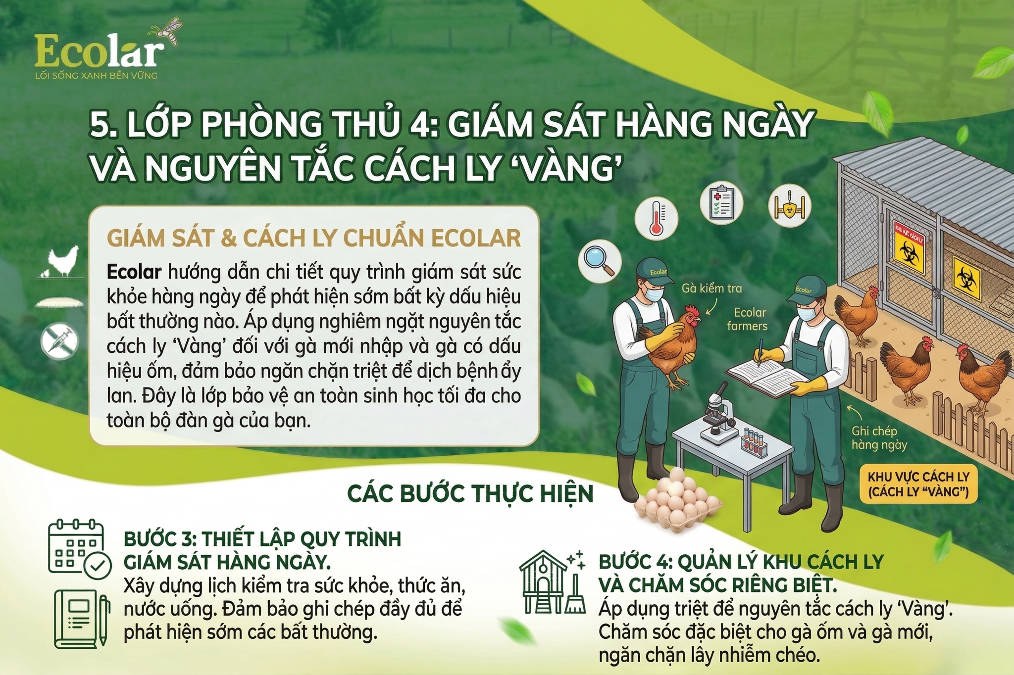 Giám Sát Hàng Ngày và Nguyên Tắc Cách Ly 'Vàng'