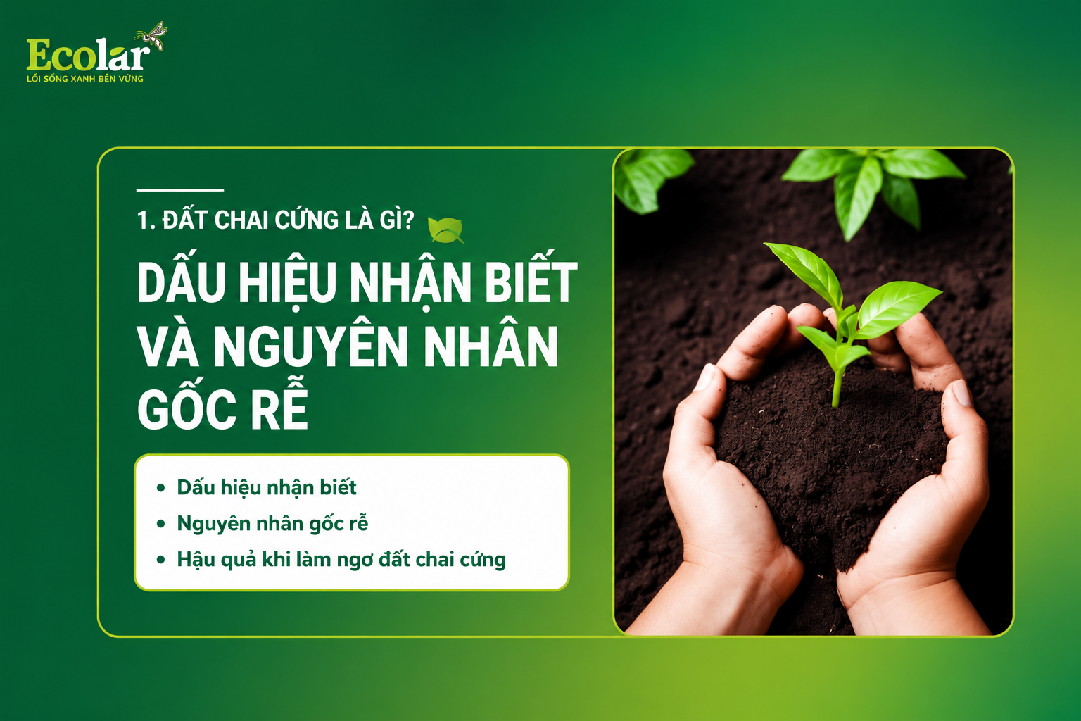 Đất Chai Cứng Là Gì? Dấu Hiệu Nhận Biết và Nguyên Nhân Gốc Rễ
