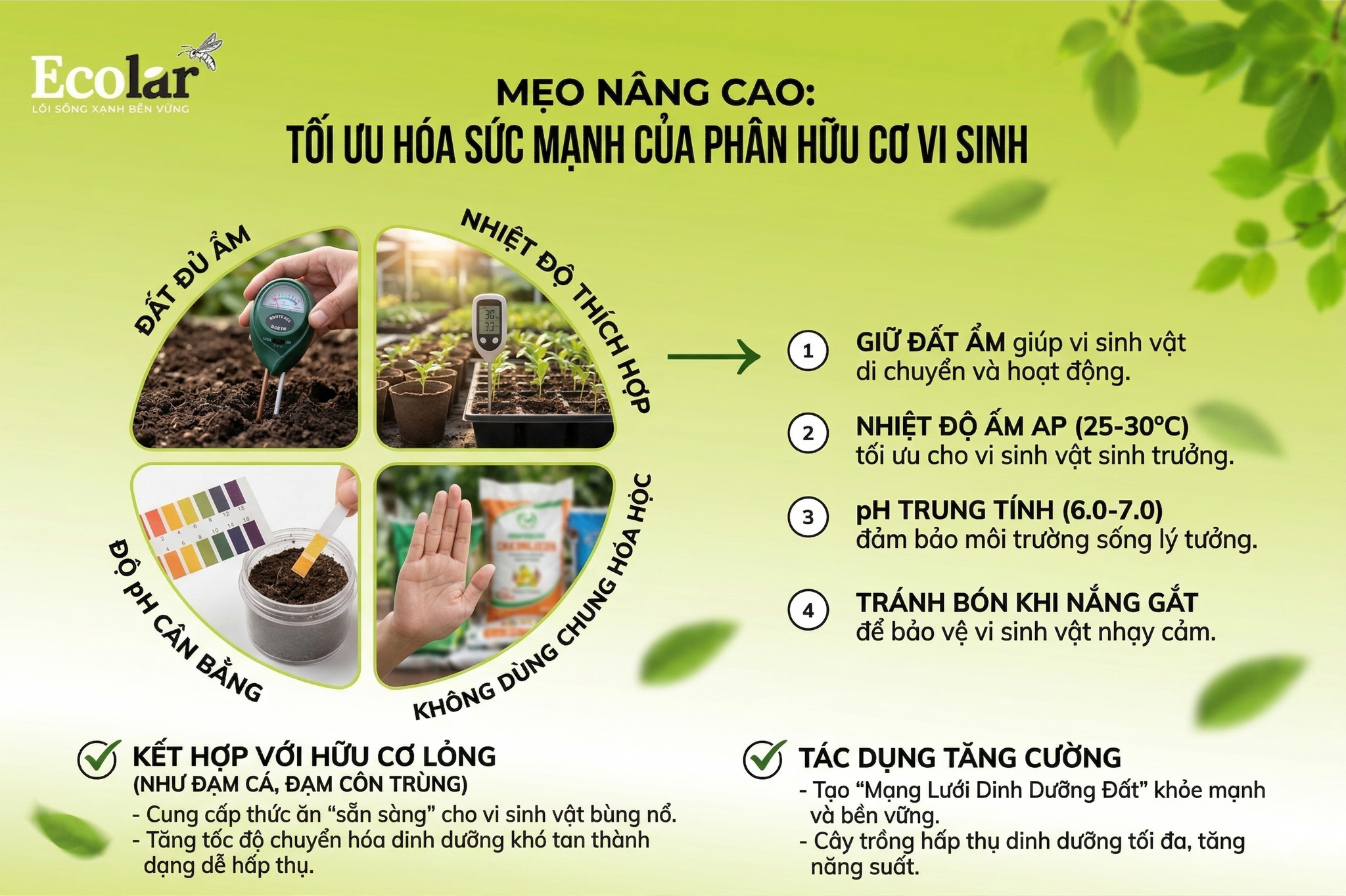 Tối Ưu Hóa Sức Mạnh Của Phân Hữu Cơ Vi Sinh