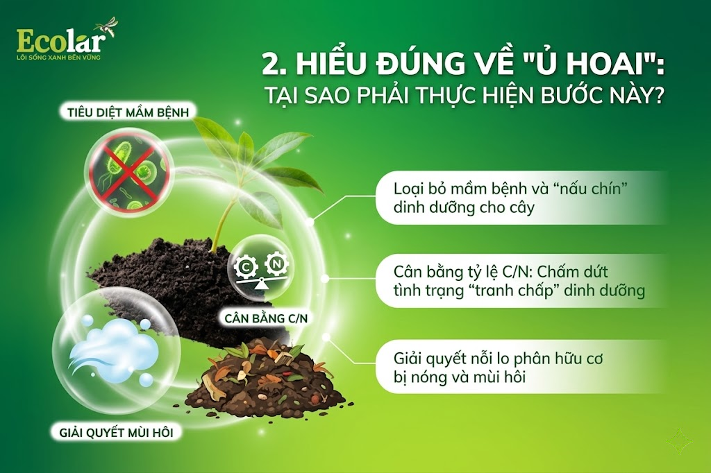 Hiểu Đúng Về 'Ủ Hoai': Tại Sao Phải Thực Hiện Bước Này?