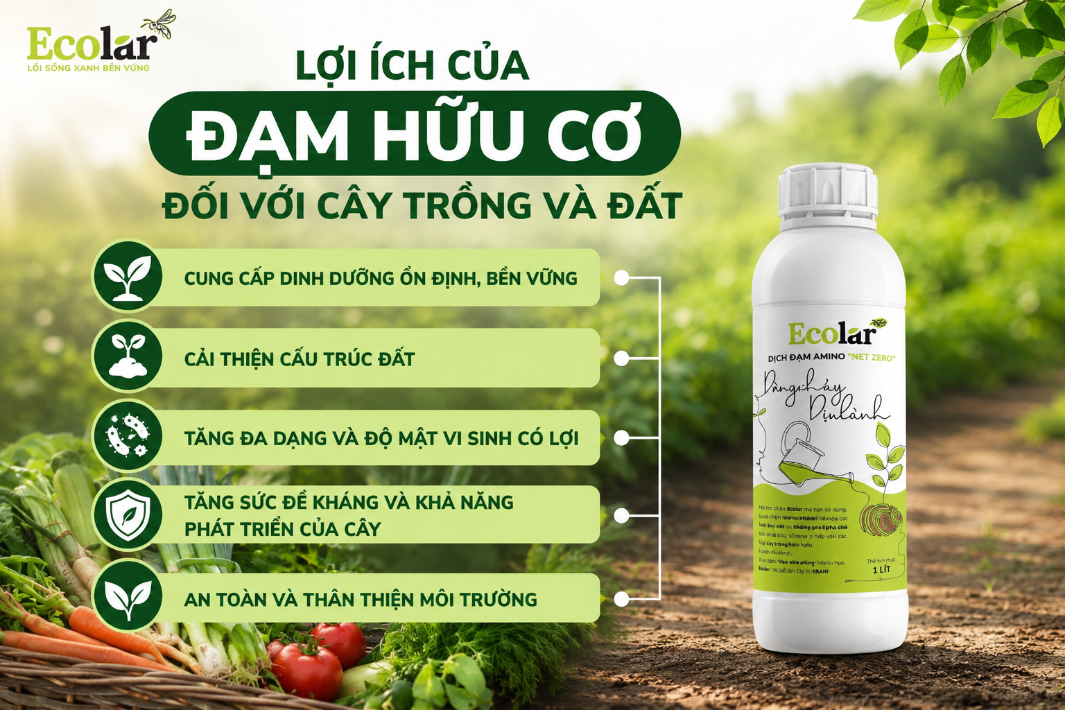 Checklist Bón Phân Hữu Cơ An Toàn Cho Người Mới Bắt Đầu