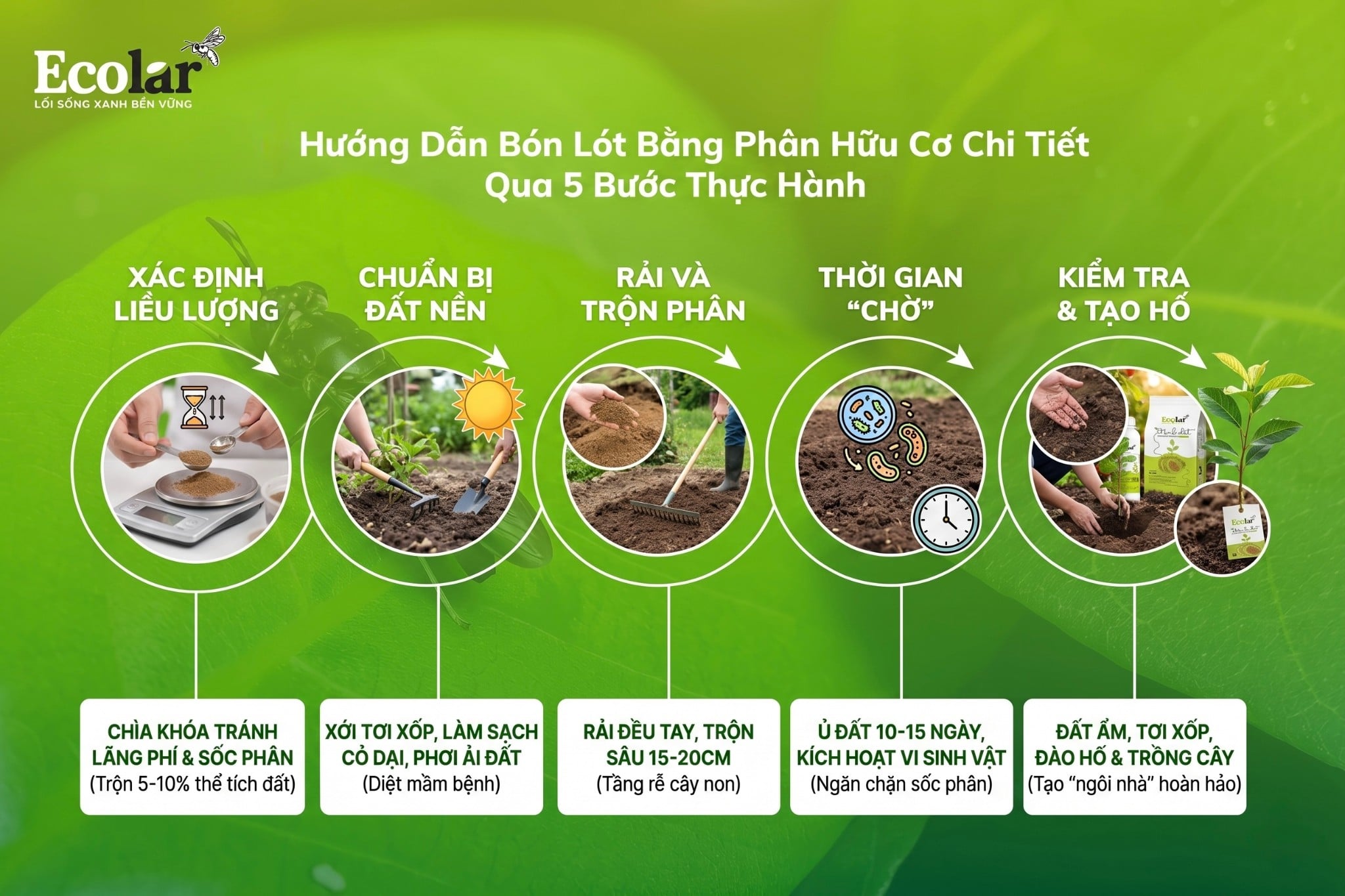 Hướng Dẫn Bón Lót Bằng Phân Hữu Cơ Chi Tiết Qua 5 Bước Thực Hành
