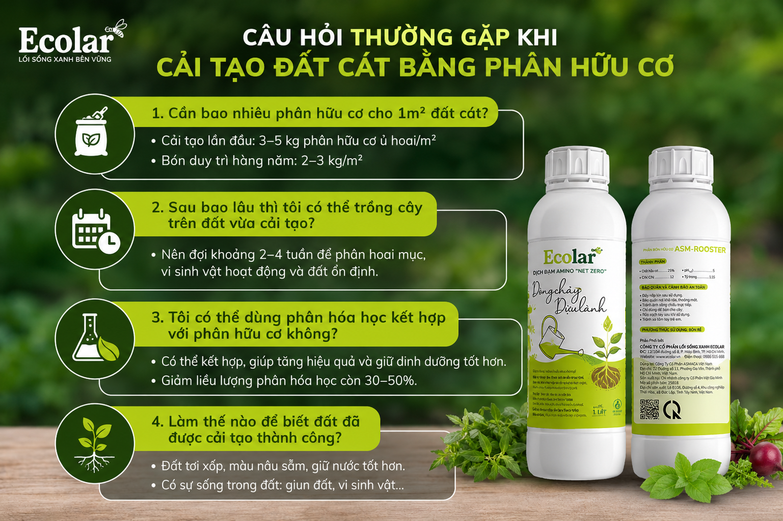 Câu Hỏi Thường Gặp Khi Cải Tạo Đất Cát Bằng Phân Hữu Cơ