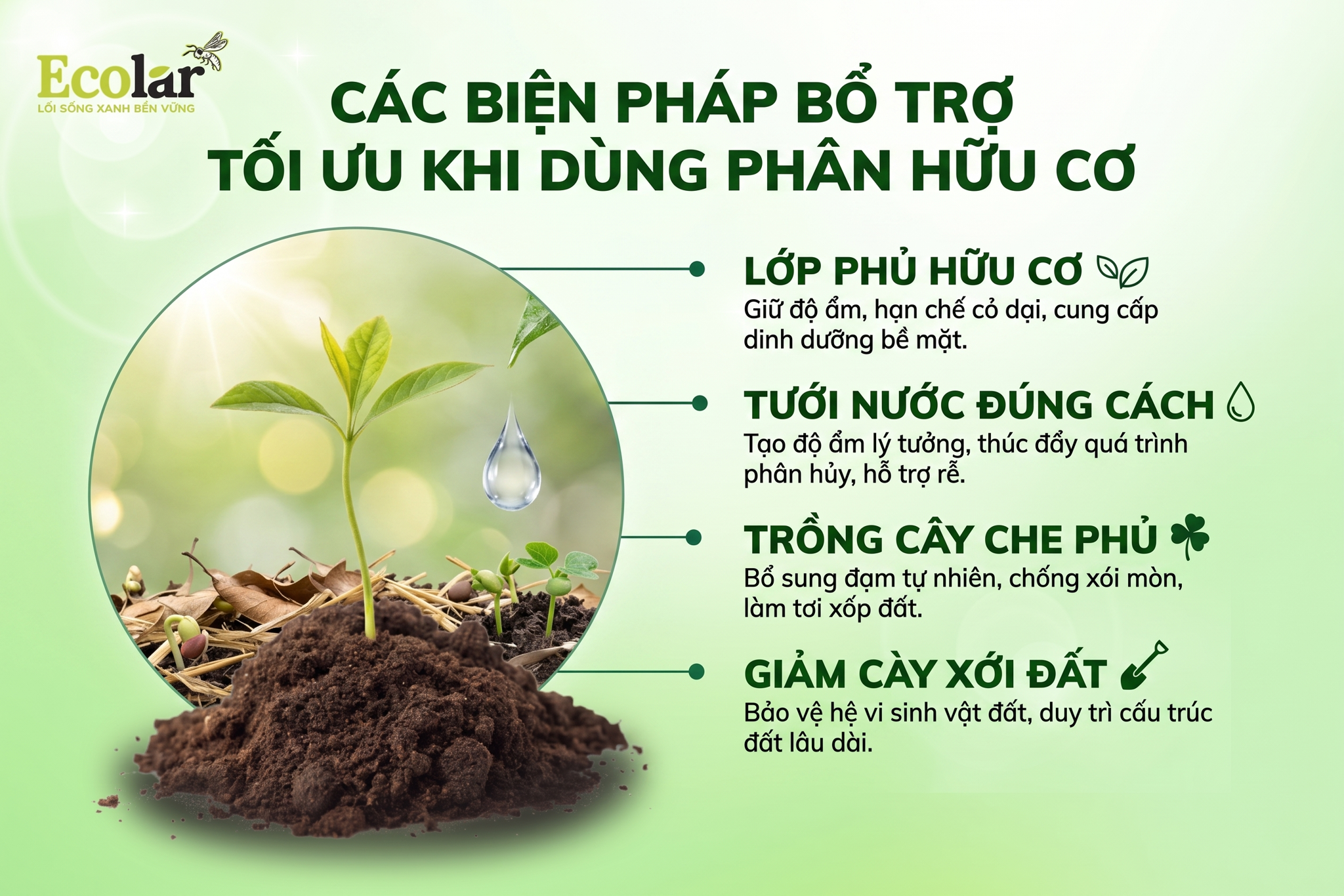 Các biện pháp bổ trợ tối ưu khi dùng phân hữu cơ để phục hồi đất