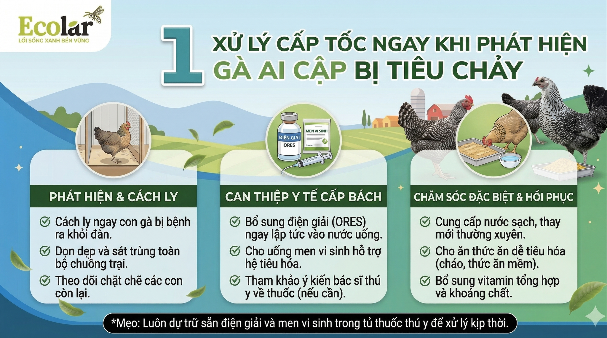 -khi-phat-hien-ga-ai-cap-bi-tieu-chay_b81a388da78f4e9a8aac989994f134d2.png