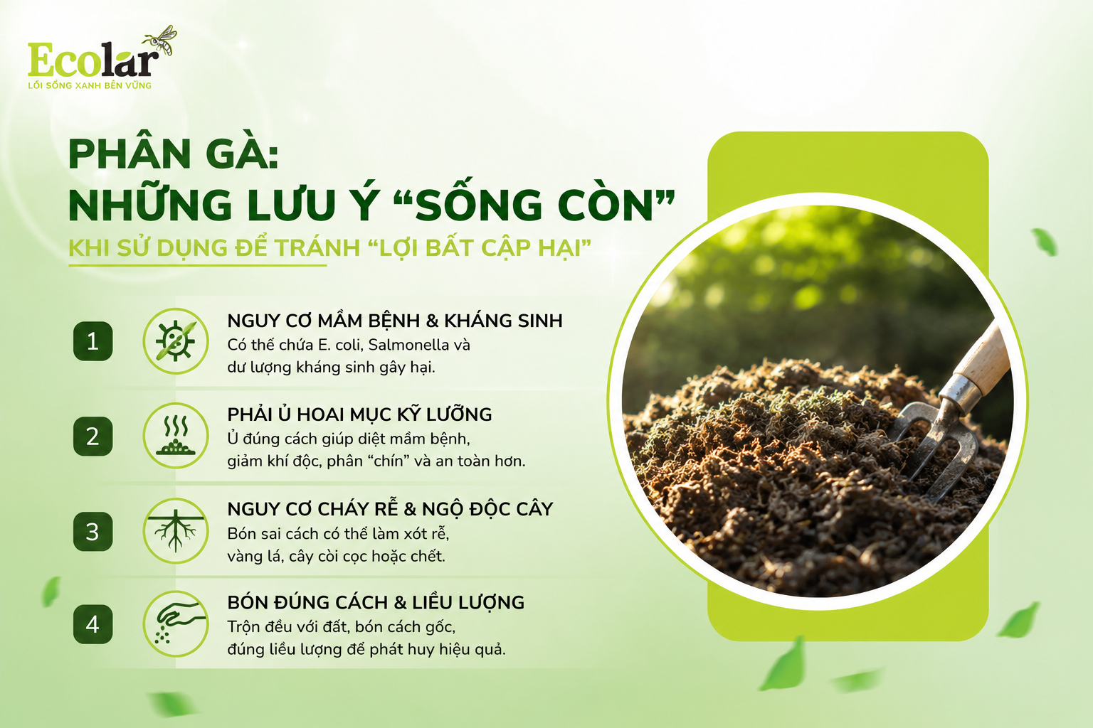 Phân Gà: Những Lưu Ý 'Sống Còn' Khi Sử Dụng Để Tránh 'Lợi Bất Cập Hại'