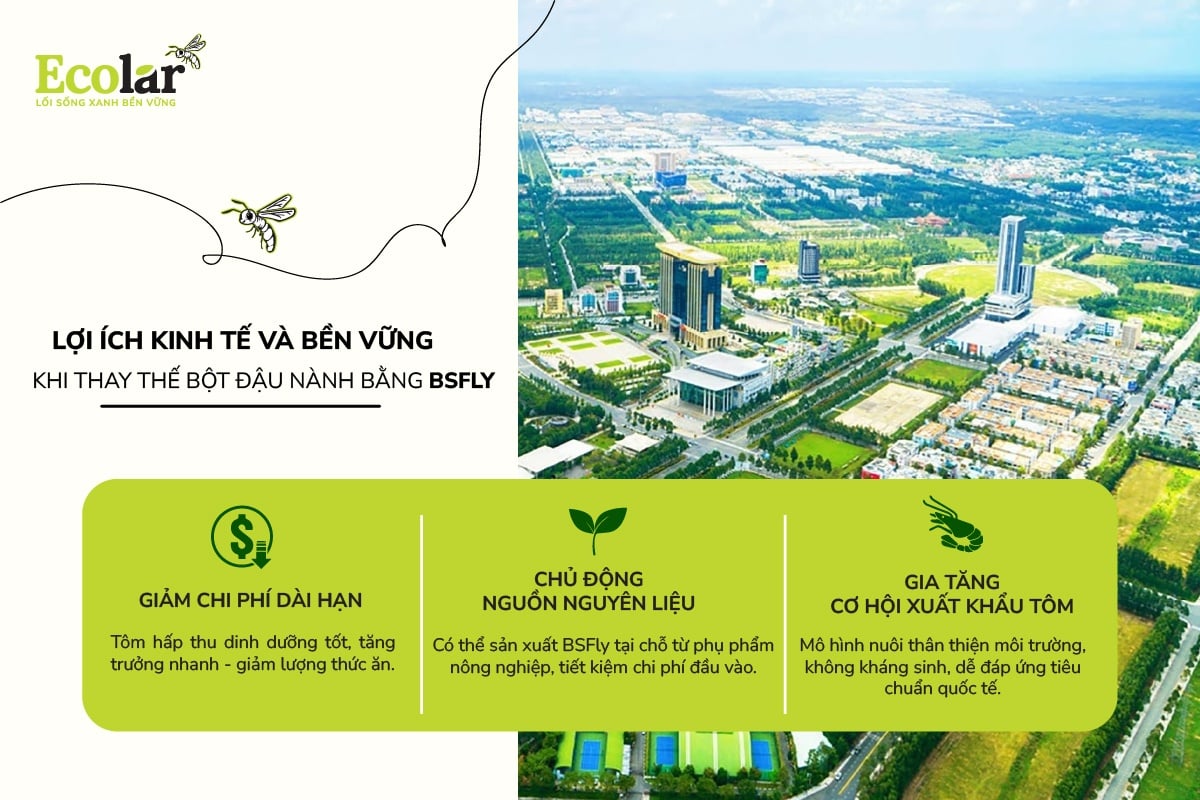 Lợi ích kinh tế và bền vững khi thay thế bột đậu nành bằng BSFly