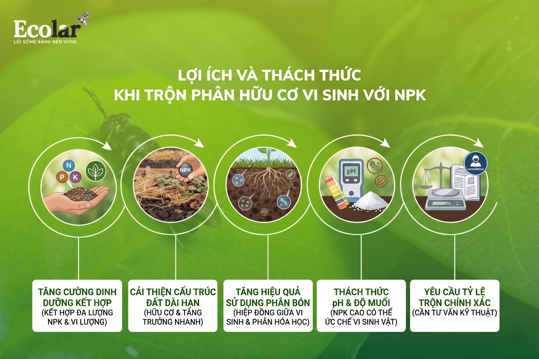 Lợi Ích Và Thách Thức Khi Trộn Phân Hữu Cơ Vi Sinh Với NPK