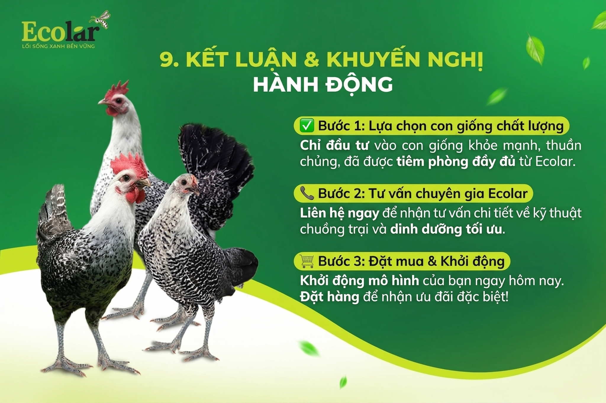 -khuyen-nghi-cu-the-va-buoc-tiep-theo_8af2e8b5972e4ee3adada5e990d5b537.png
