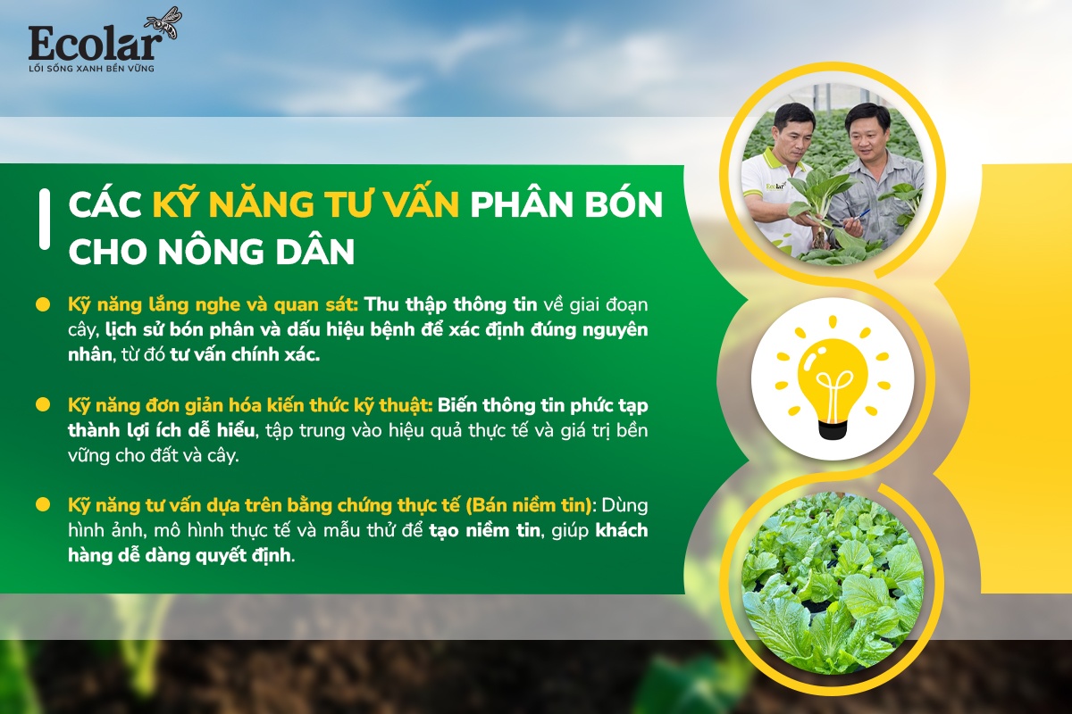 cách tránh rủi ro