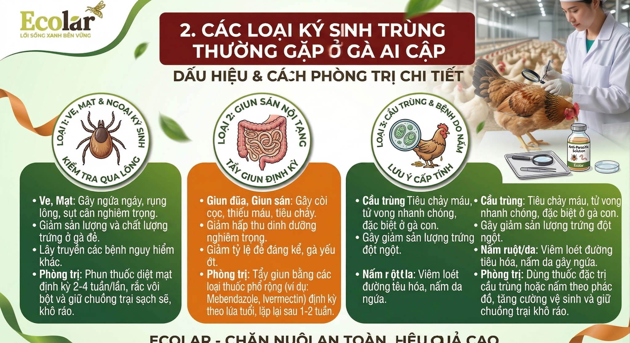 -ky-sinh-trung-thuong-gap-o-ga-ai-cap_f599df244a2e43fe8e46fcd37c3c2a40.png