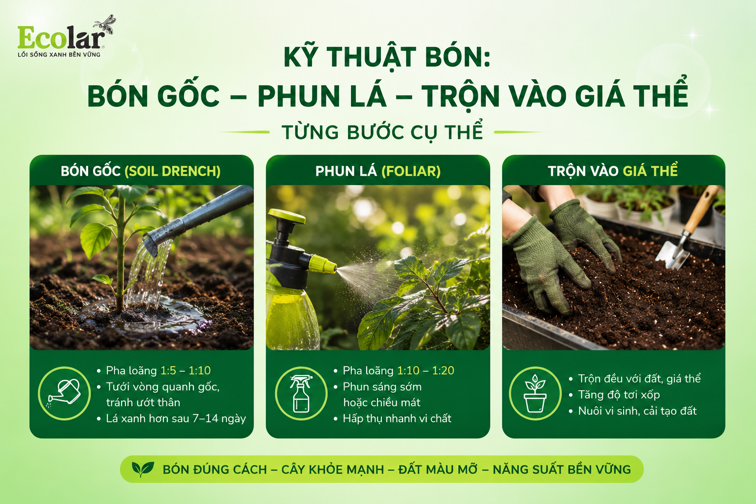 Kỹ thuật bón: bón gốc, phun lá, trộn vào giá thể — từng bước cụ thể