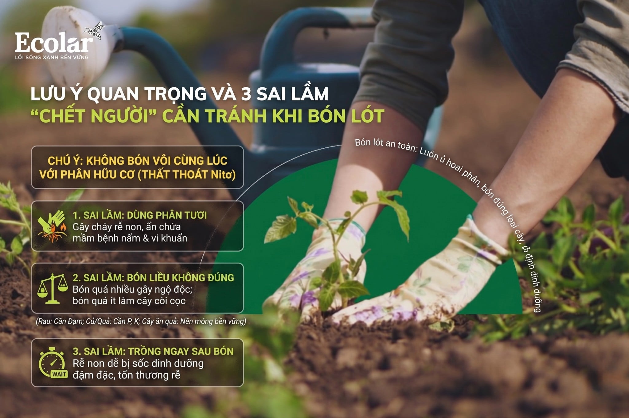 Lưu Ý Quan Trọng và 3 Sai Lầm 