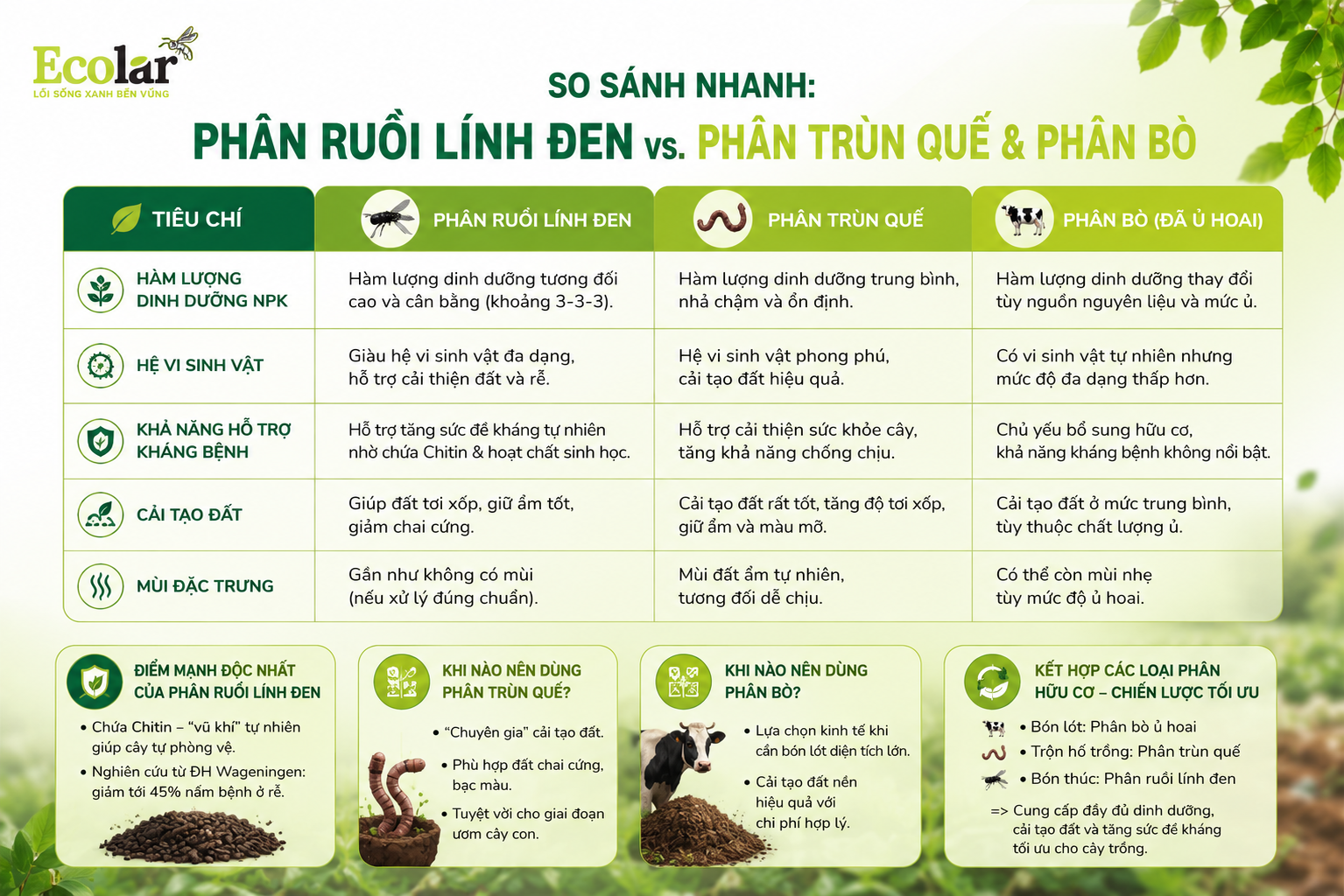 So Sánh Nhanh: Phân Ruồi Lính Đen vs. Phân Trùn Quế và Phân Bò