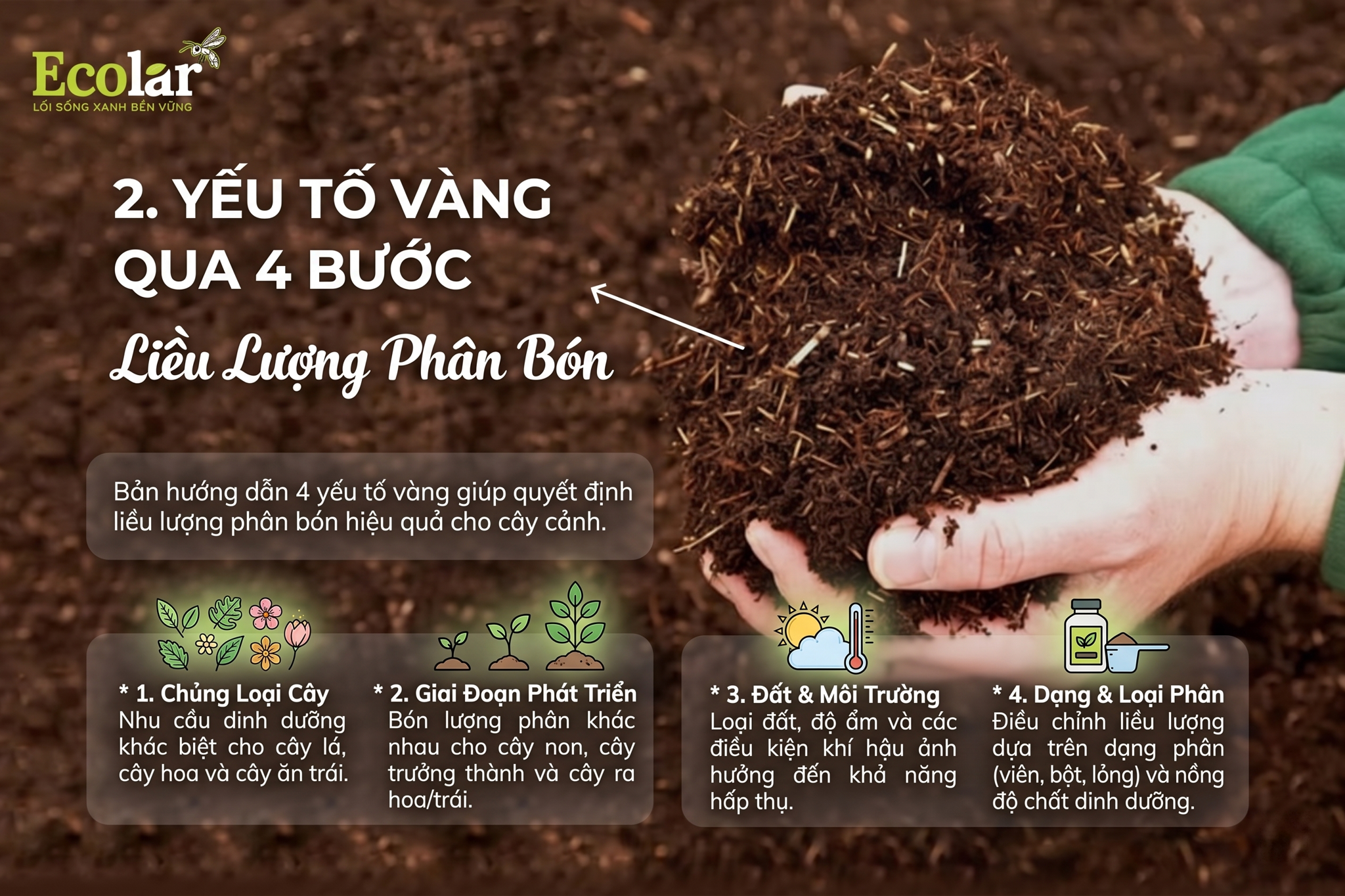 4 Yếu Tố Vàng Quyết Định Liều Lượng Phân Bón Cho Mọi Loại Cây Cảnh