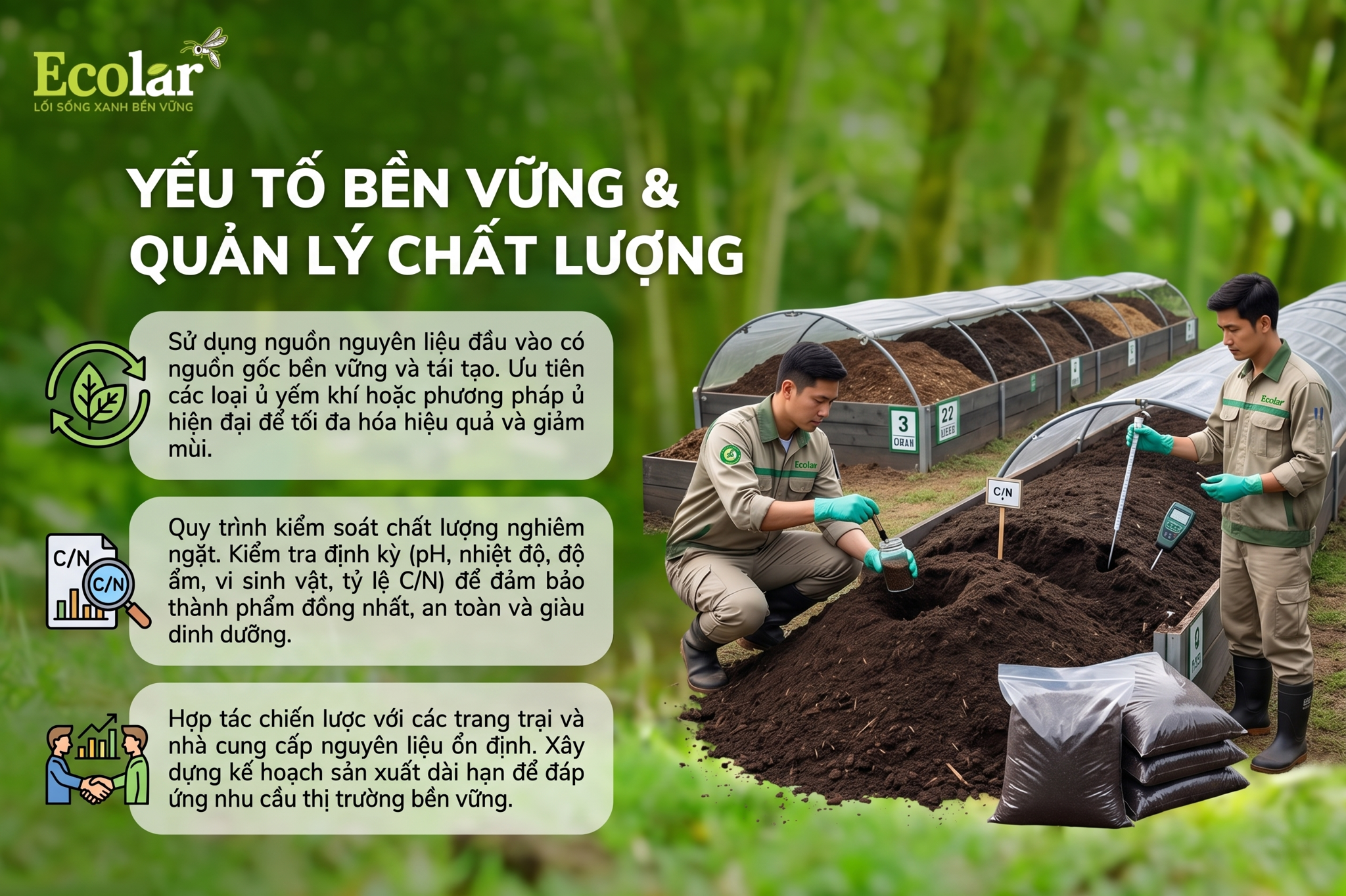 Yếu tố bền vững và quản lý chất lượng khi triển khai dài hạn