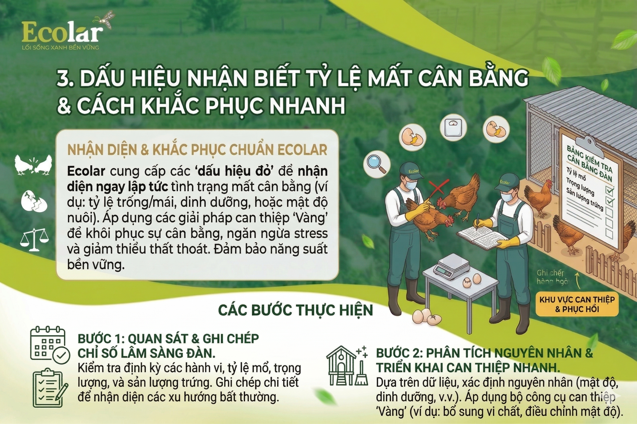 Dấu Hiệu Nhận Biết Tỷ Lệ Mất Cân Bằng & Cách Khắc Phục Nhanh