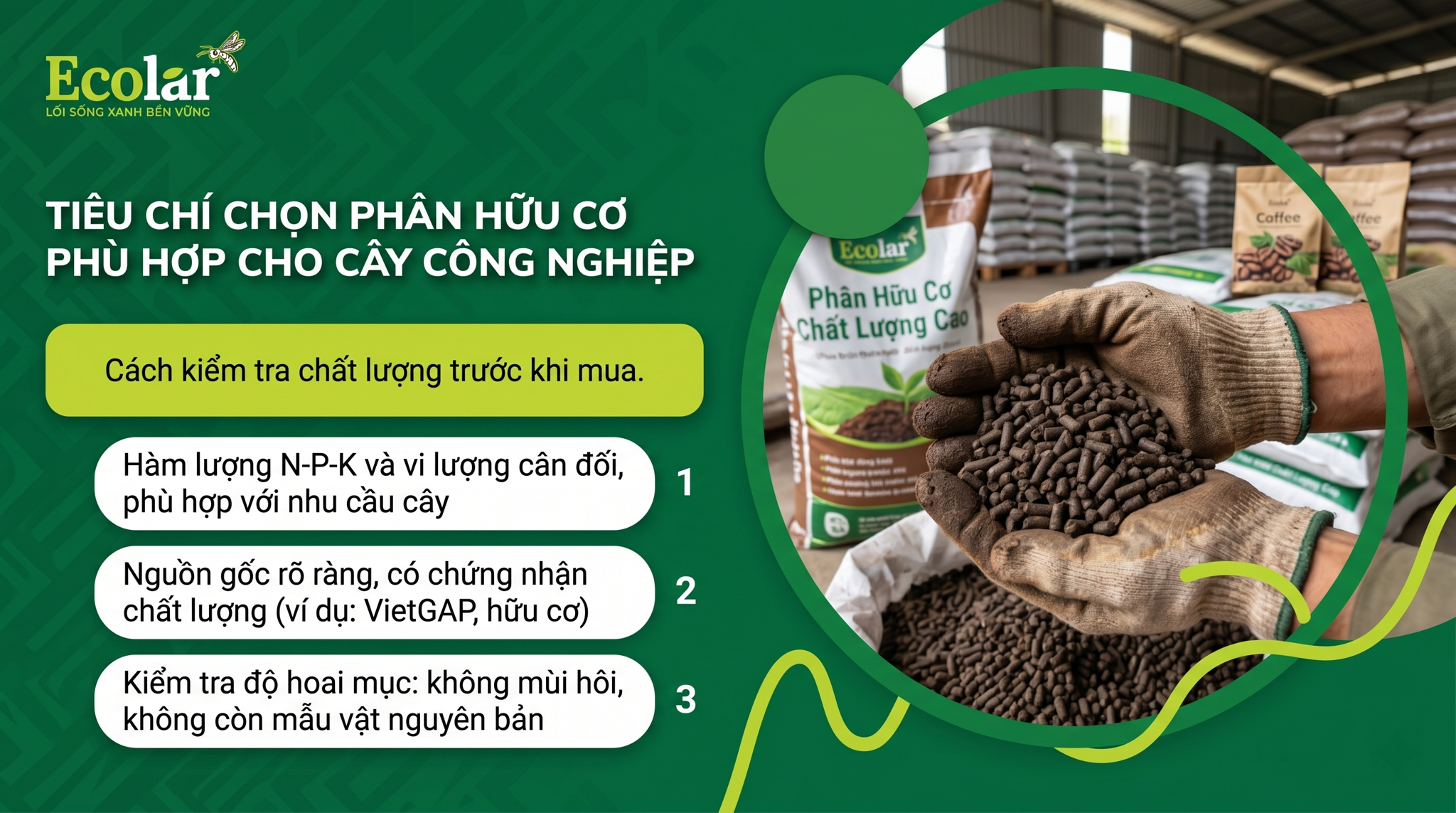 Tiêu chí chọn phân hữu cơ phù hợp cho cây công nghiệp (kiểm tra chất lượng trước mua)