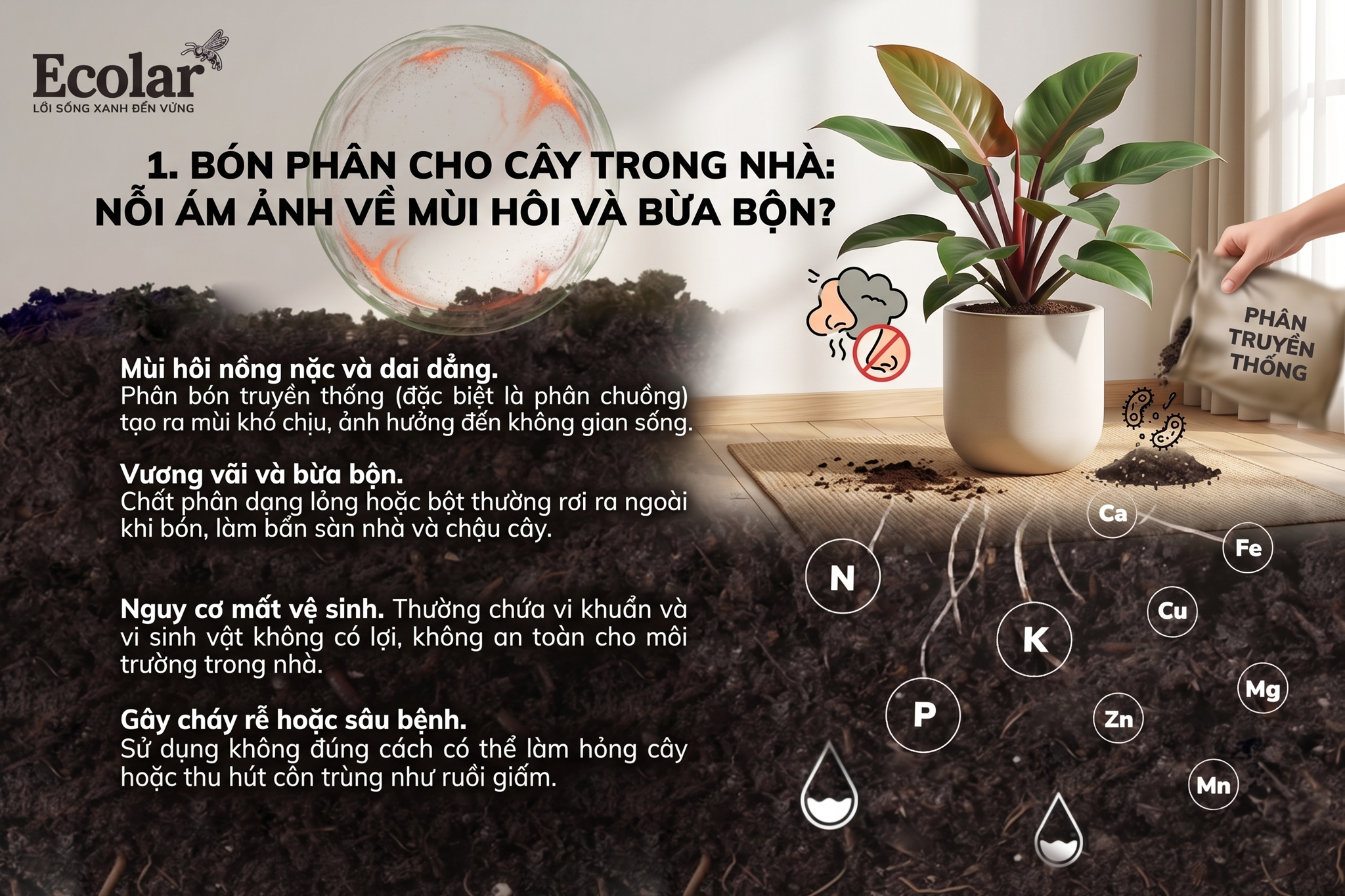 Bón Phân Cho Cây Trong Nhà: Nỗi Ám Ảnh Về Mùi Hôi và Bừa Bộn?