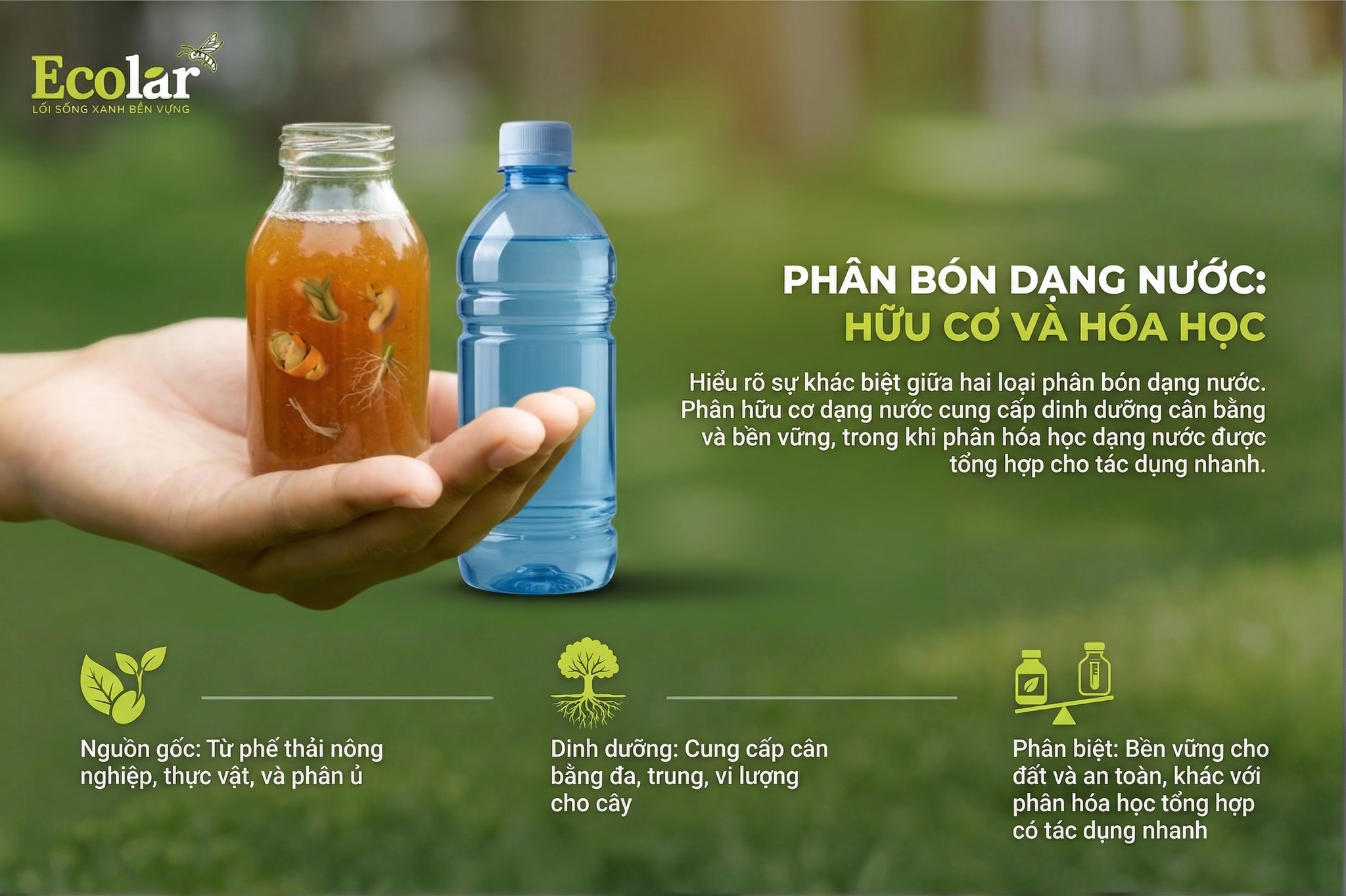 Phân Hữu Cơ Dạng Nước Là Gì? Phân Biệt Với Phân Hóa Học Dạng Nước