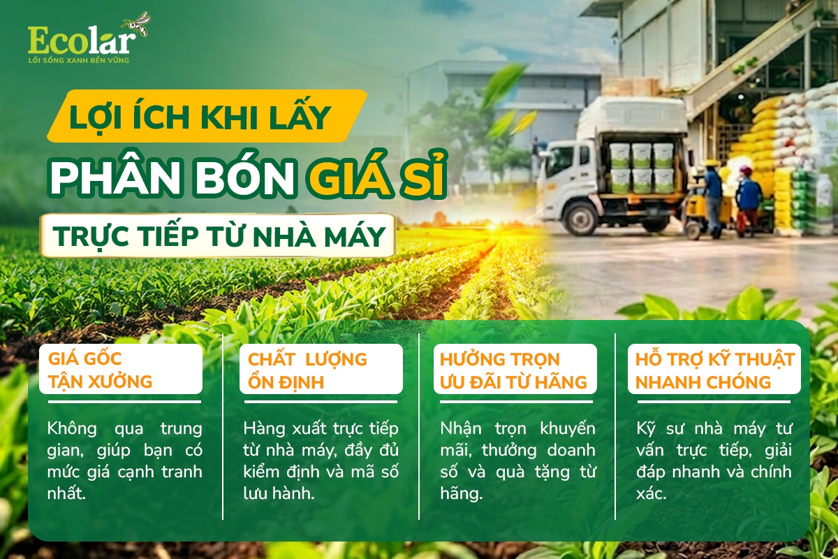 lợi ích
