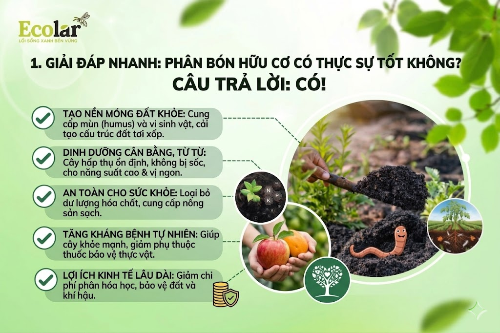 Giải Đáp Nhanh: Phân Bón Hữu Cơ Có Thực Sự Tốt Không?
