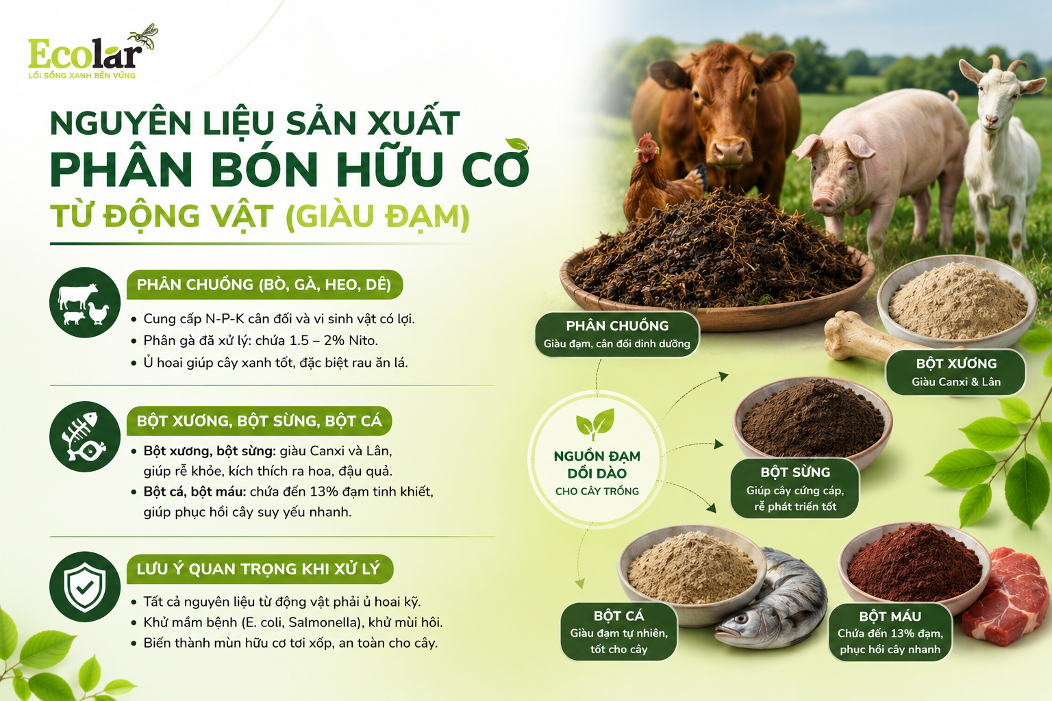 Nhóm 1: Nguyên Liệu Sản Xuất Phân Bón Hữu Cơ Từ Động Vật (Giàu Đạm)