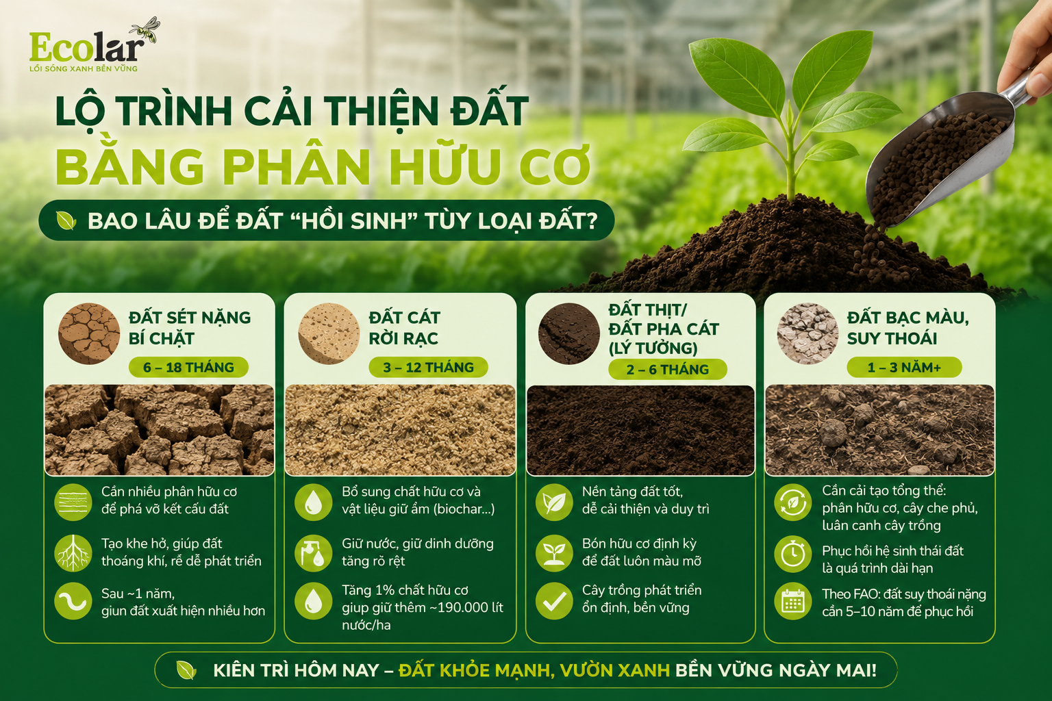 Hiểu Đúng Về Cơ Chế Hoạt Động: Phân Hữu Cơ Không Phải Là 'Thuốc Tiên'