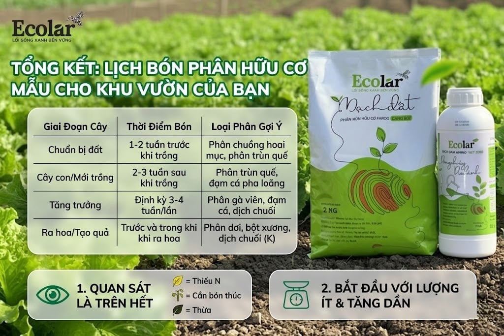 Tổng Kết: Lịch Bón Phân Hữu Cơ Mẫu Cho Khu Vườn Của Bạn