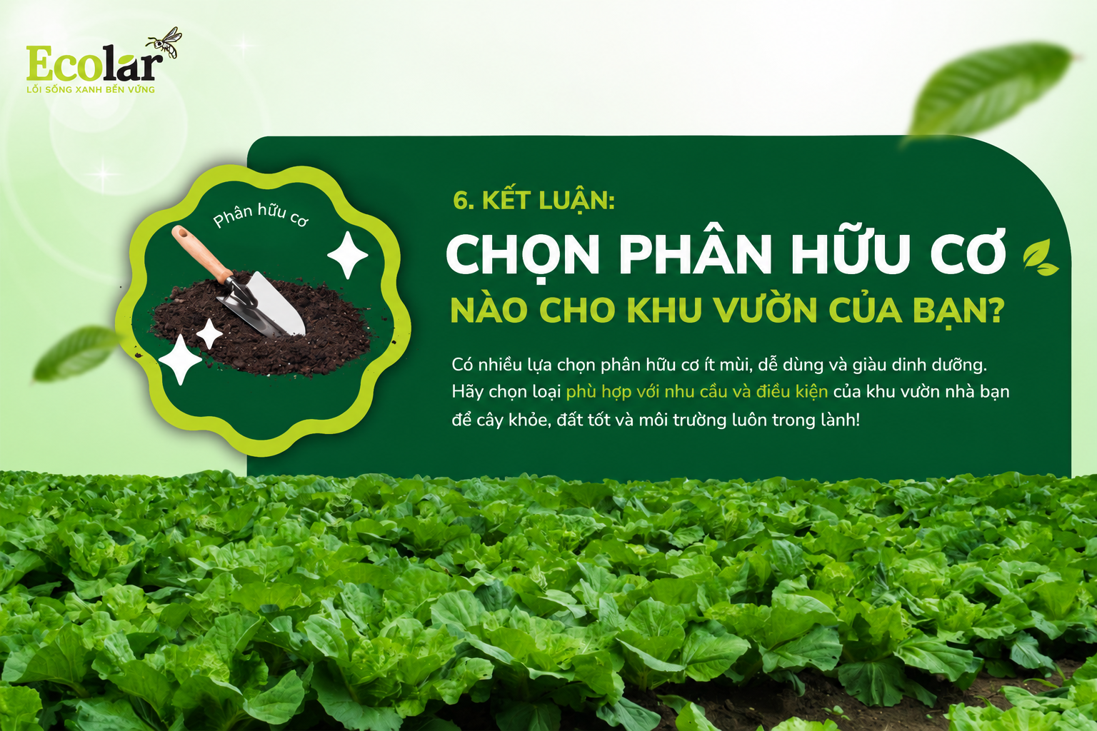 Kết Luận: Chọn Phân Hữu Cơ Nào Cho Khu Vườn Của Bạn?