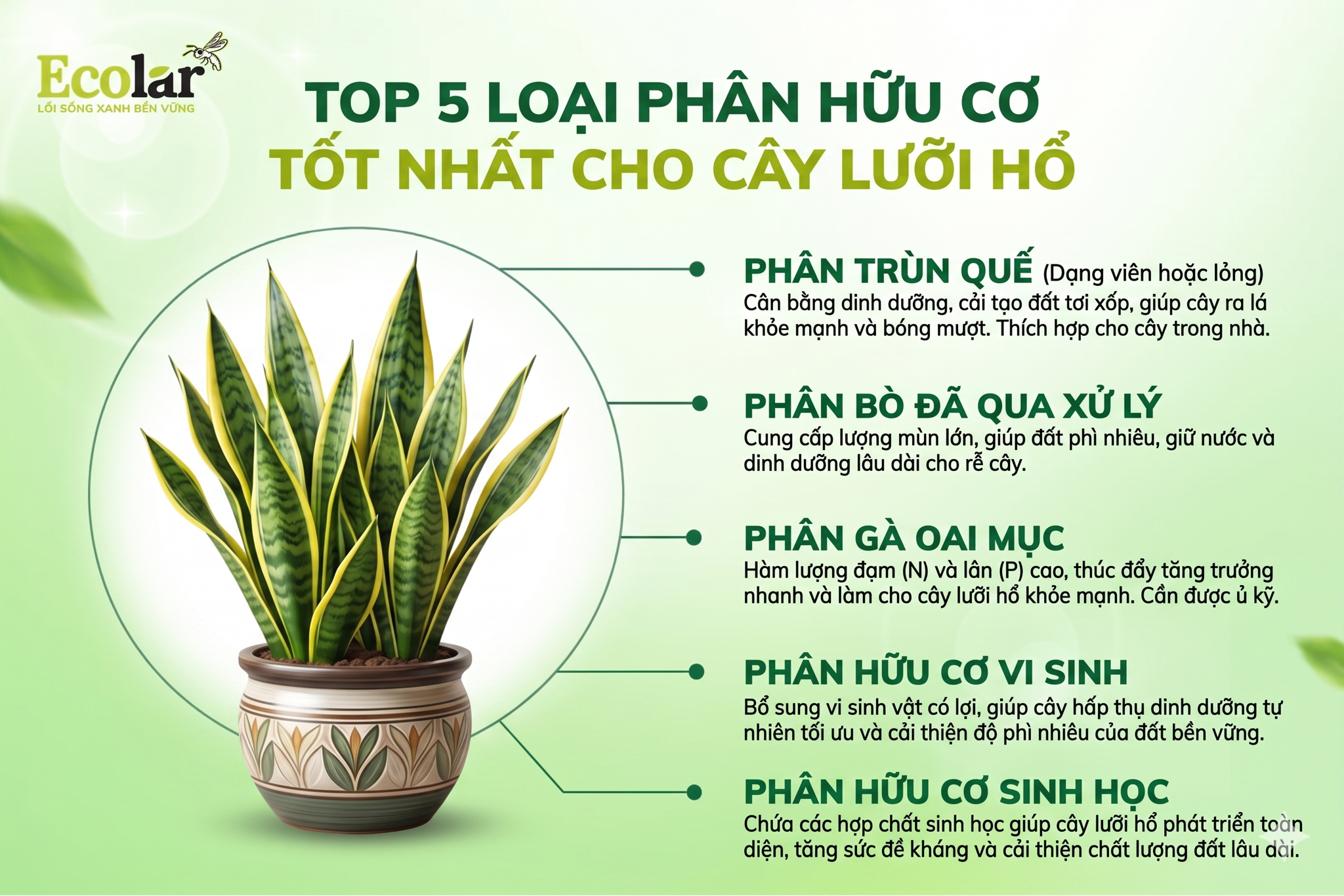 Top 5 Loại Phân Hữu Cơ Tốt Nhất Cho Cây Lưỡi Hổ