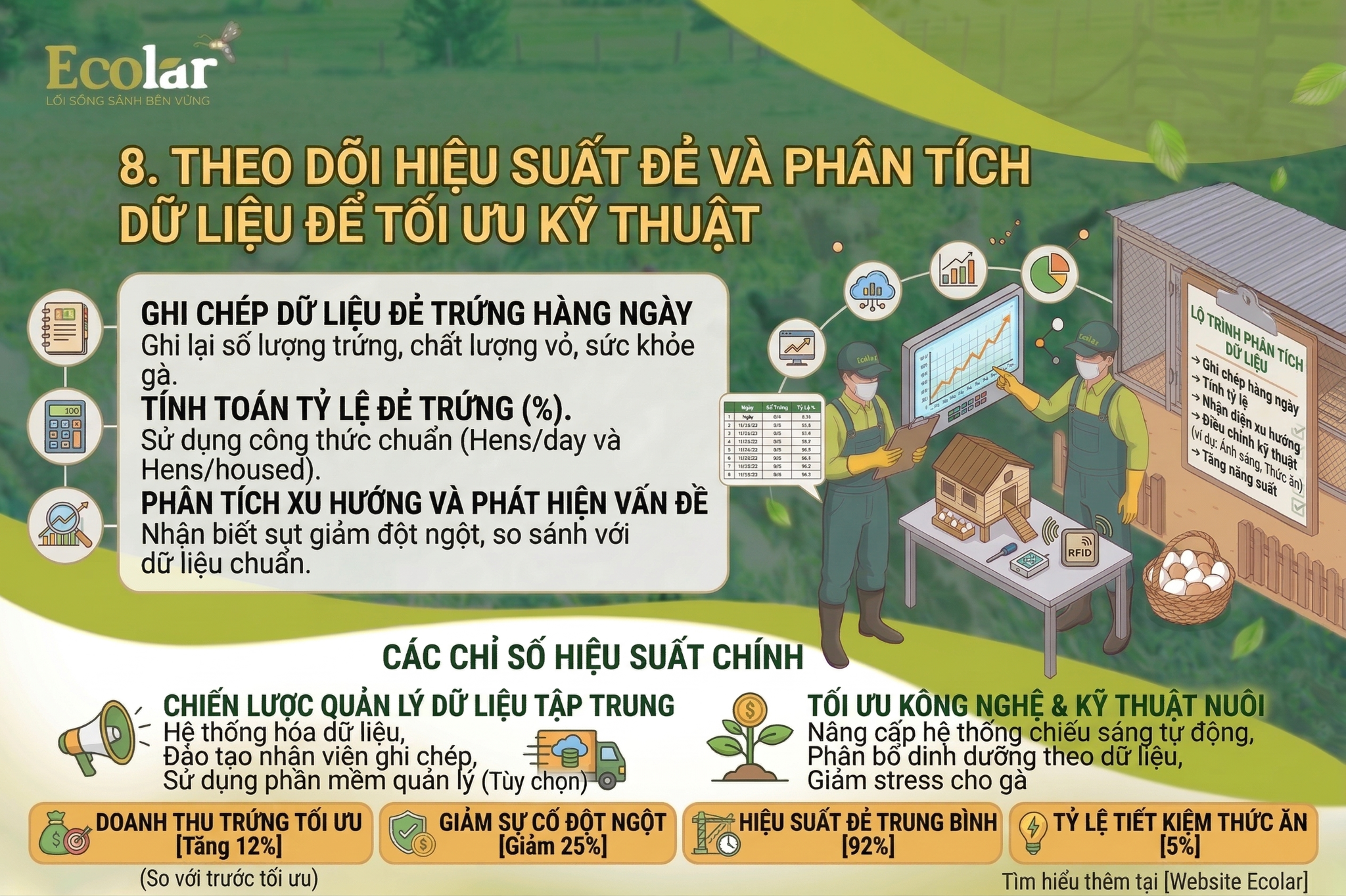 Theo dõi hiệu suất đẻ và phân tích dữ liệu để tối ưu kỹ thuật