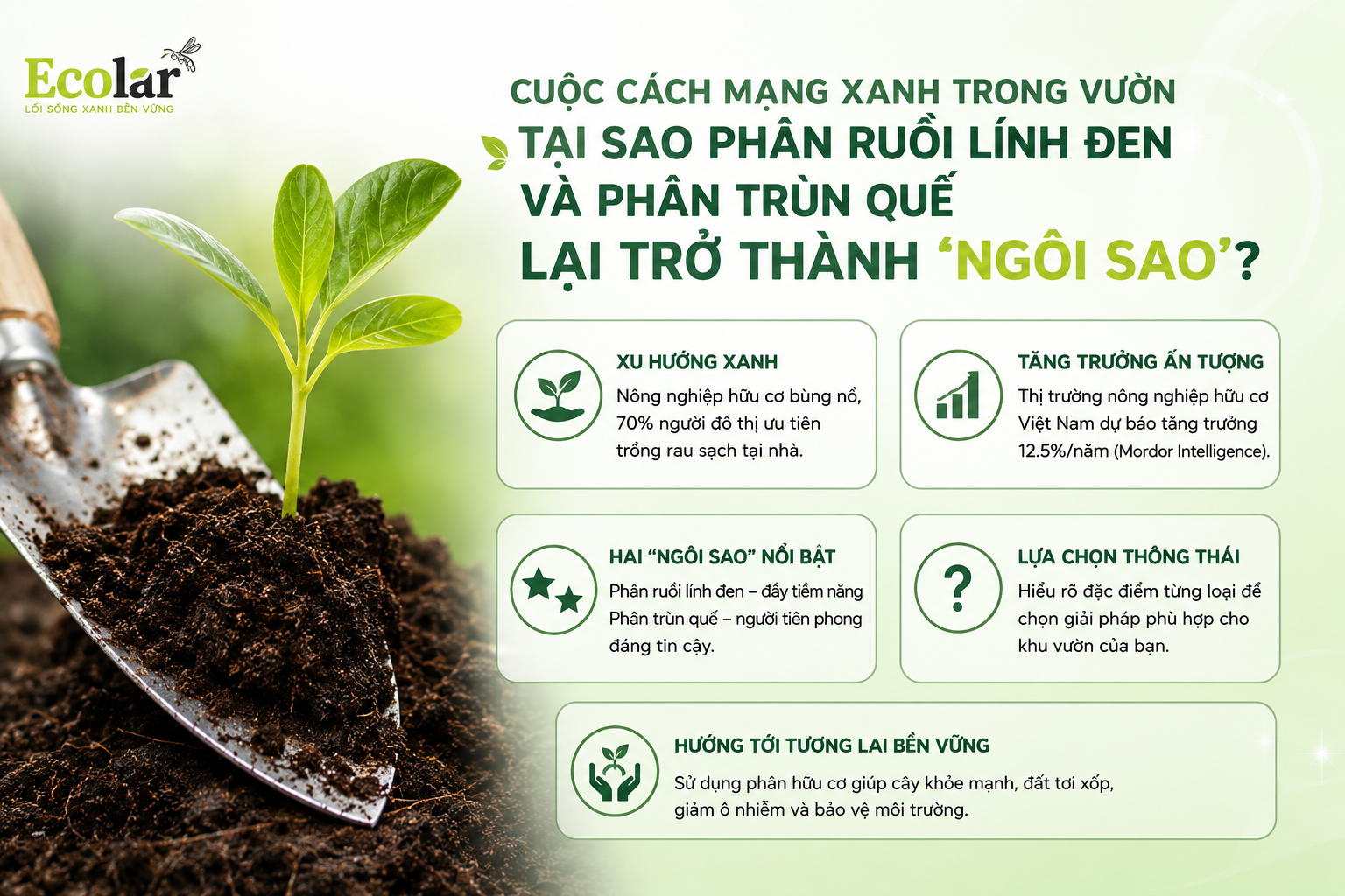 Cuộc Cách Mạng Xanh Trong Vườn: Tại Sao Phân Ruồi Lính Đen và Phân Trùn Quế Lại Trở Thành 'Ngôi Sao'?