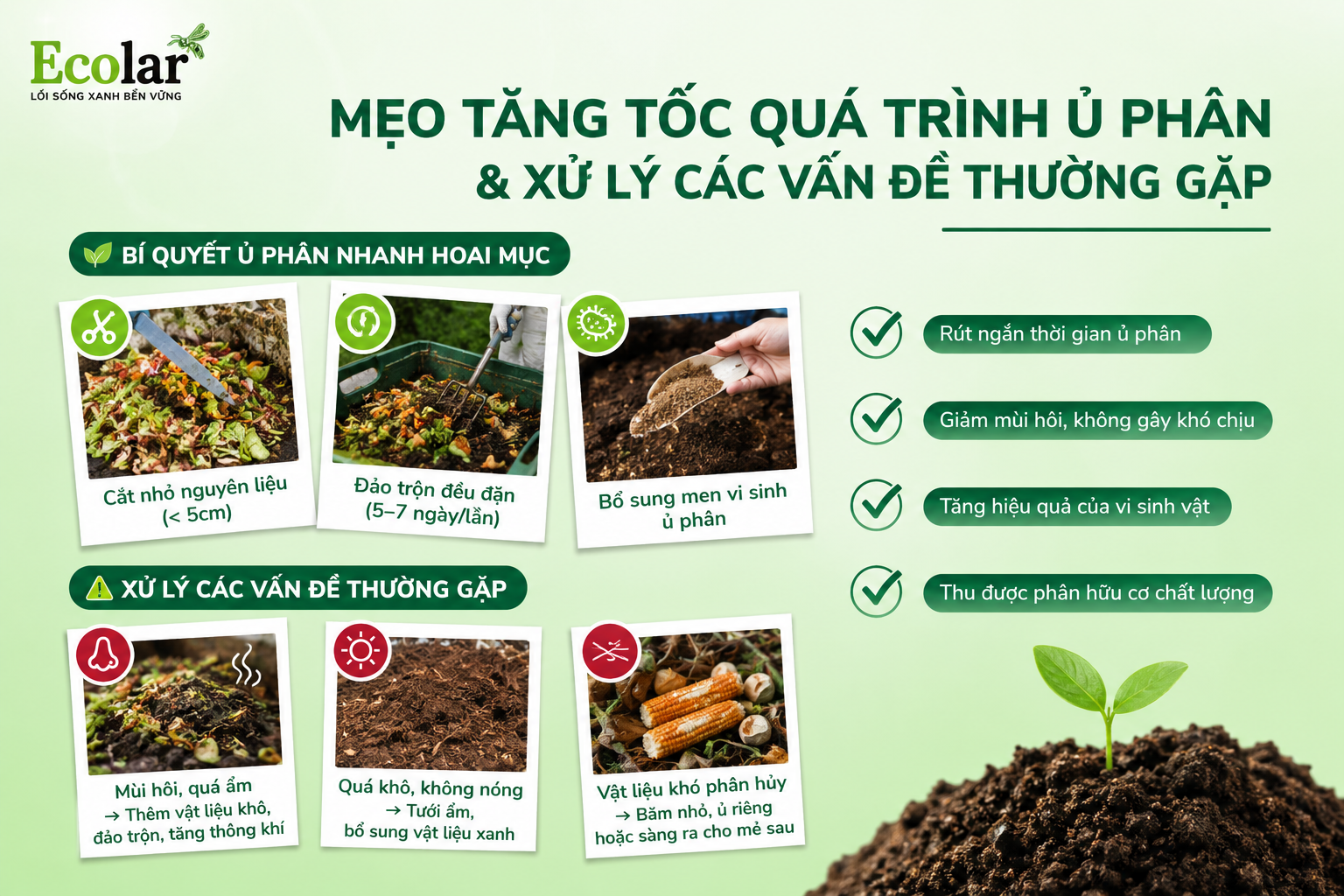 Mẹo Tăng Tốc Quá Trình Ủ Phân & Xử Lý Các Vấn Đề Thường Gặp
