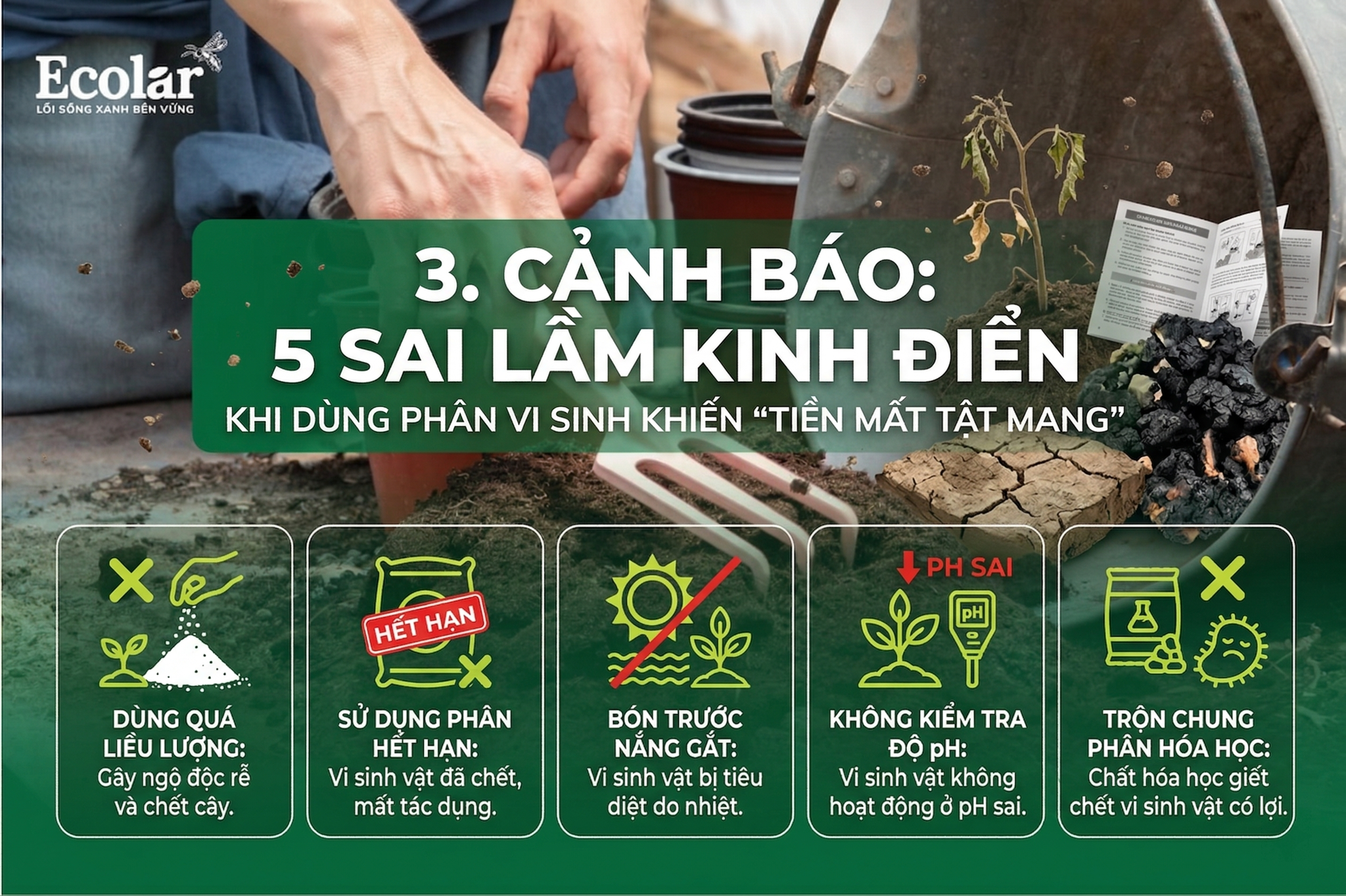 5 Sai Lầm Kinh Điển Khi Dùng Phân Vi Sinh Khiến 'Tiền Mất Tật Mang'