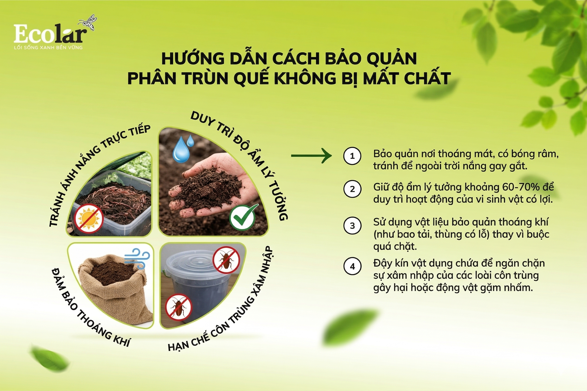 Hướng dẫn cách bảo quản phân trùn quế không bị mất chất