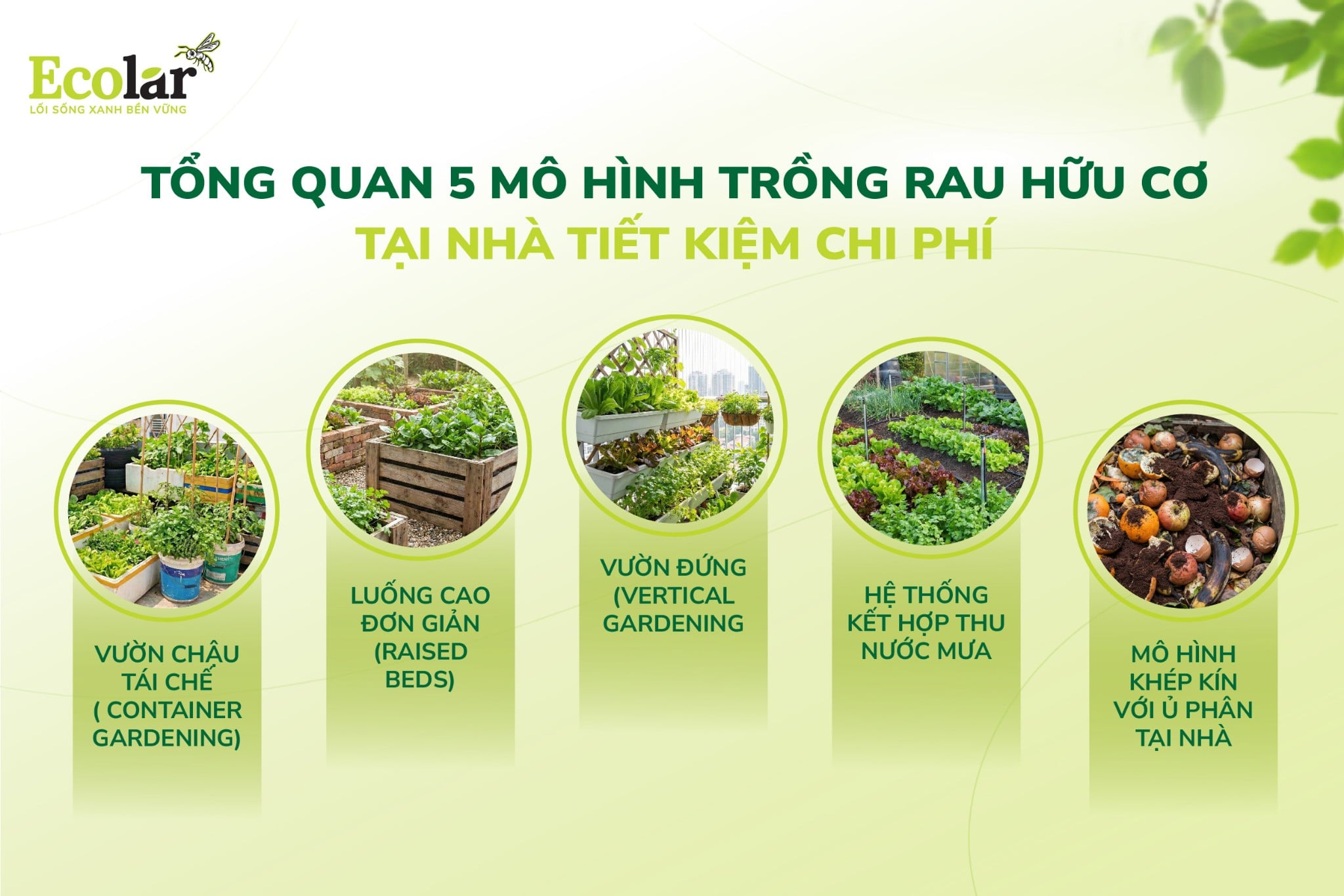 TONG-QUAN-5-MO-HINH-TRONG-RAU-HUU-CO-TAI-NHA-TIET-KIEM-CHI-PHI_tong-quan-5-mo-hinh-trong-rau-huu-co-tai-nha-tiet-kiem-chi-phi